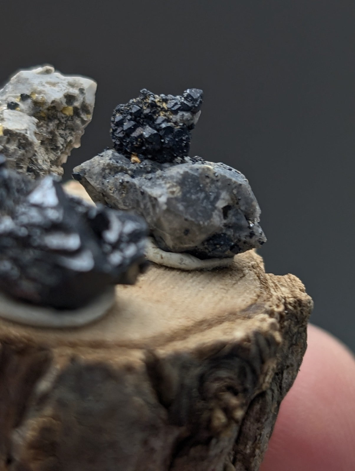 Dark crystalline brookite and smoky quartz mineral specimens on a rough-hewn wooden base from magnet cove arkansas