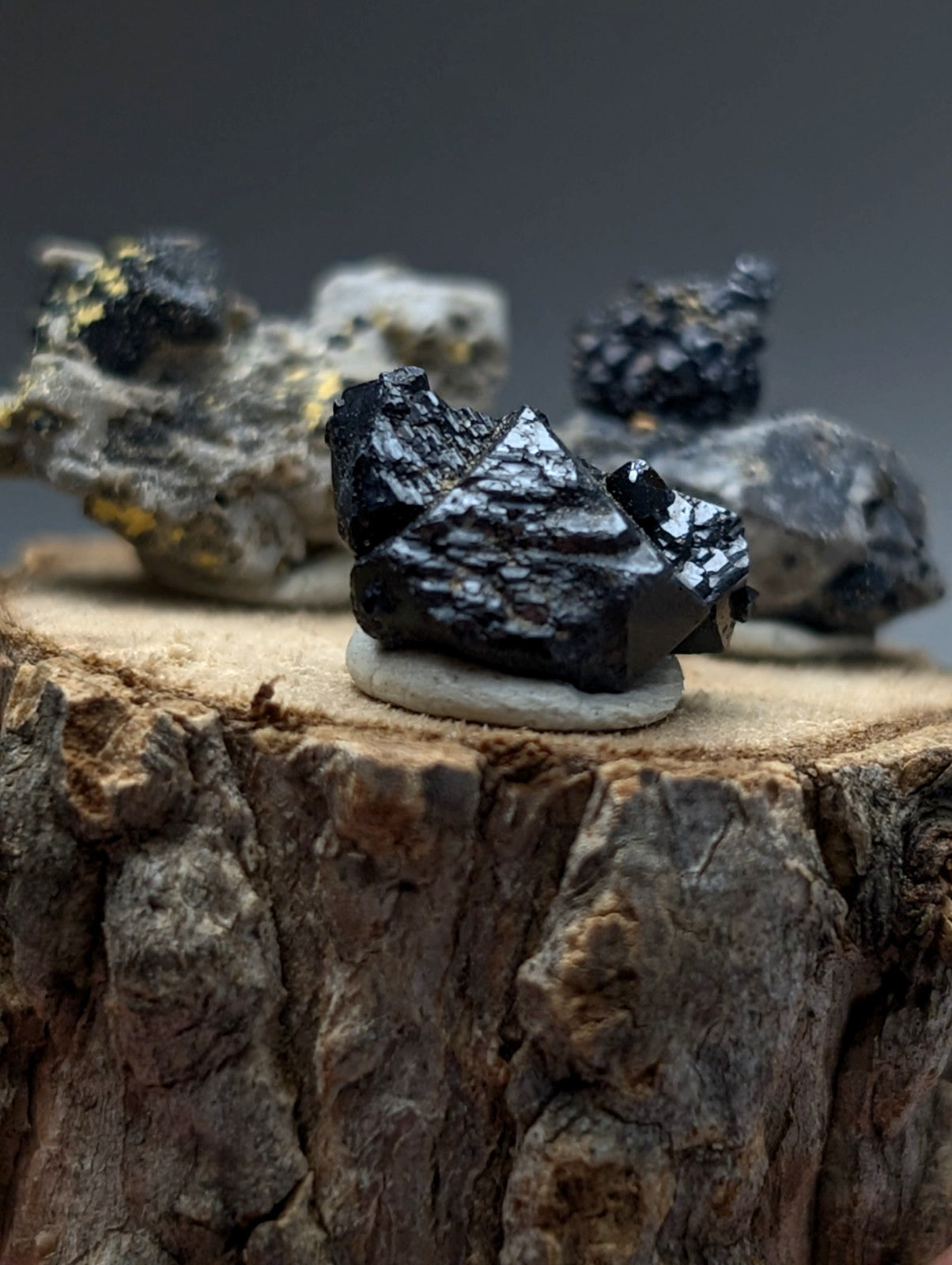 Set of 3 brookite and smoky quartz with black glossy pyrite crystals and golden flecks on rustic wood stump stand