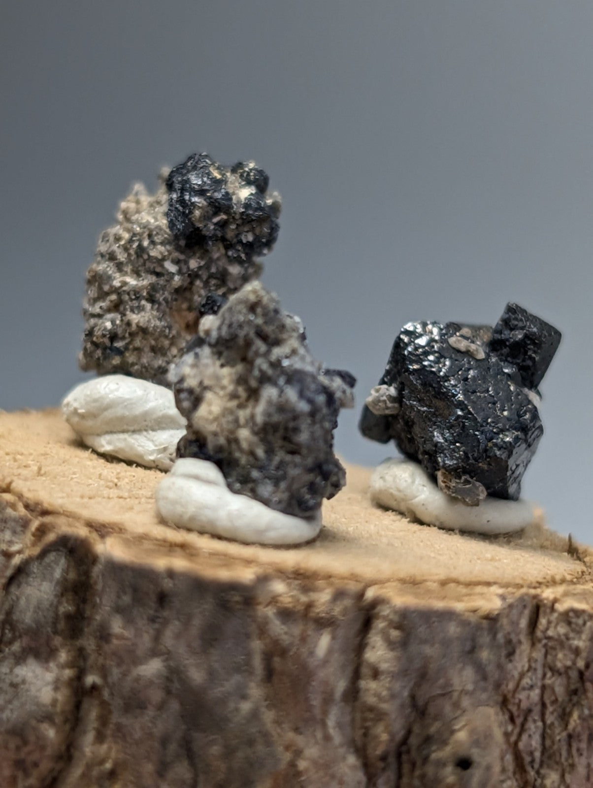 Set of 3 brookite and smoky quartz mineral specimens with dark metallic crystals on white calcite bases on wood stand