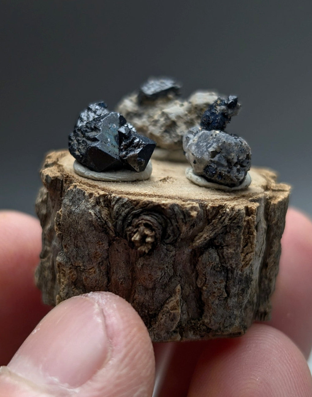A rustic wooden slice displaying three dark glossy brookite and smoky quartz mineral specimens with rough textures