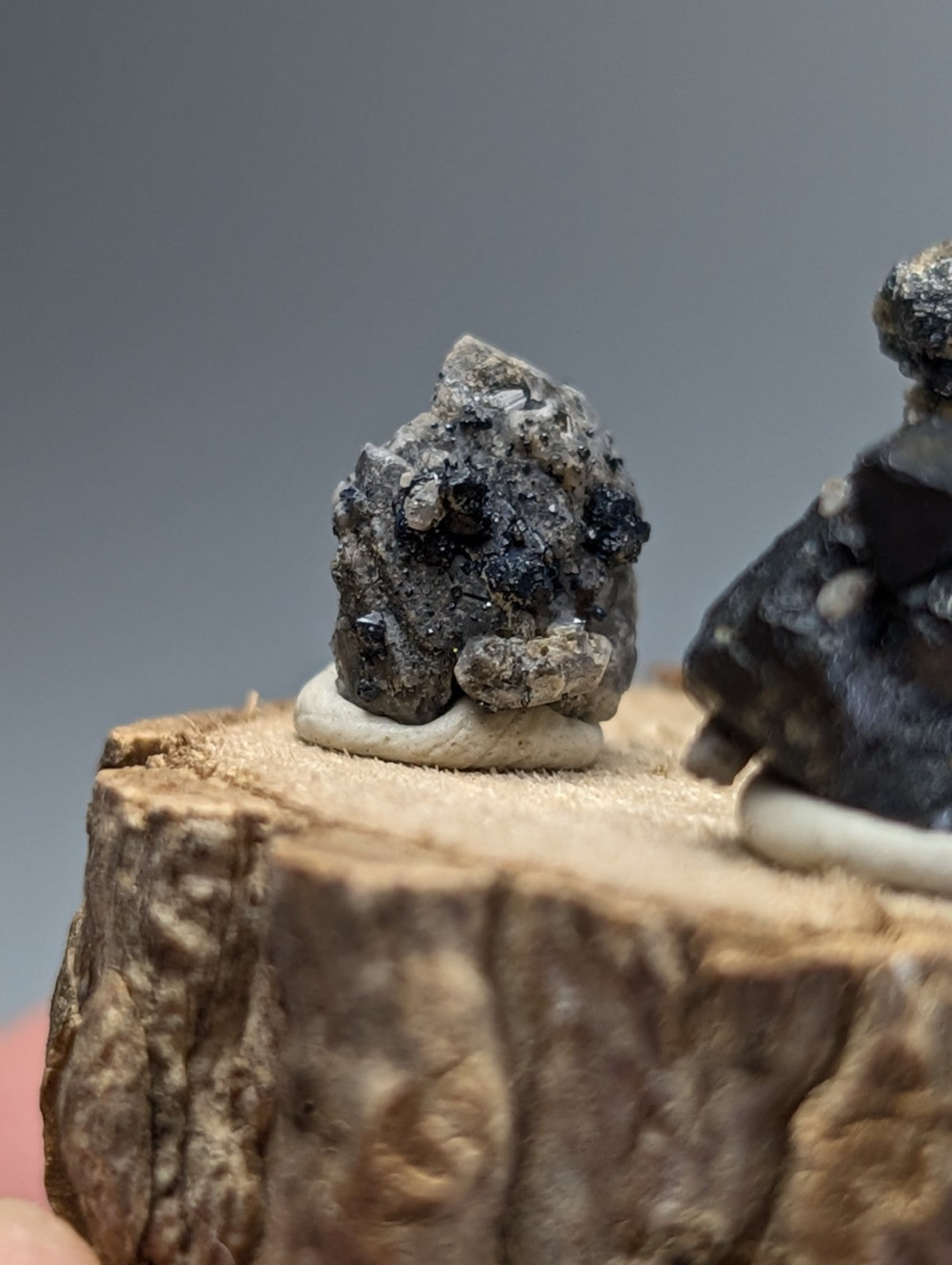 A dark gray rough-textured brookite mineral with black inclusions on a beige base in a set with smoky quartz and wood stand