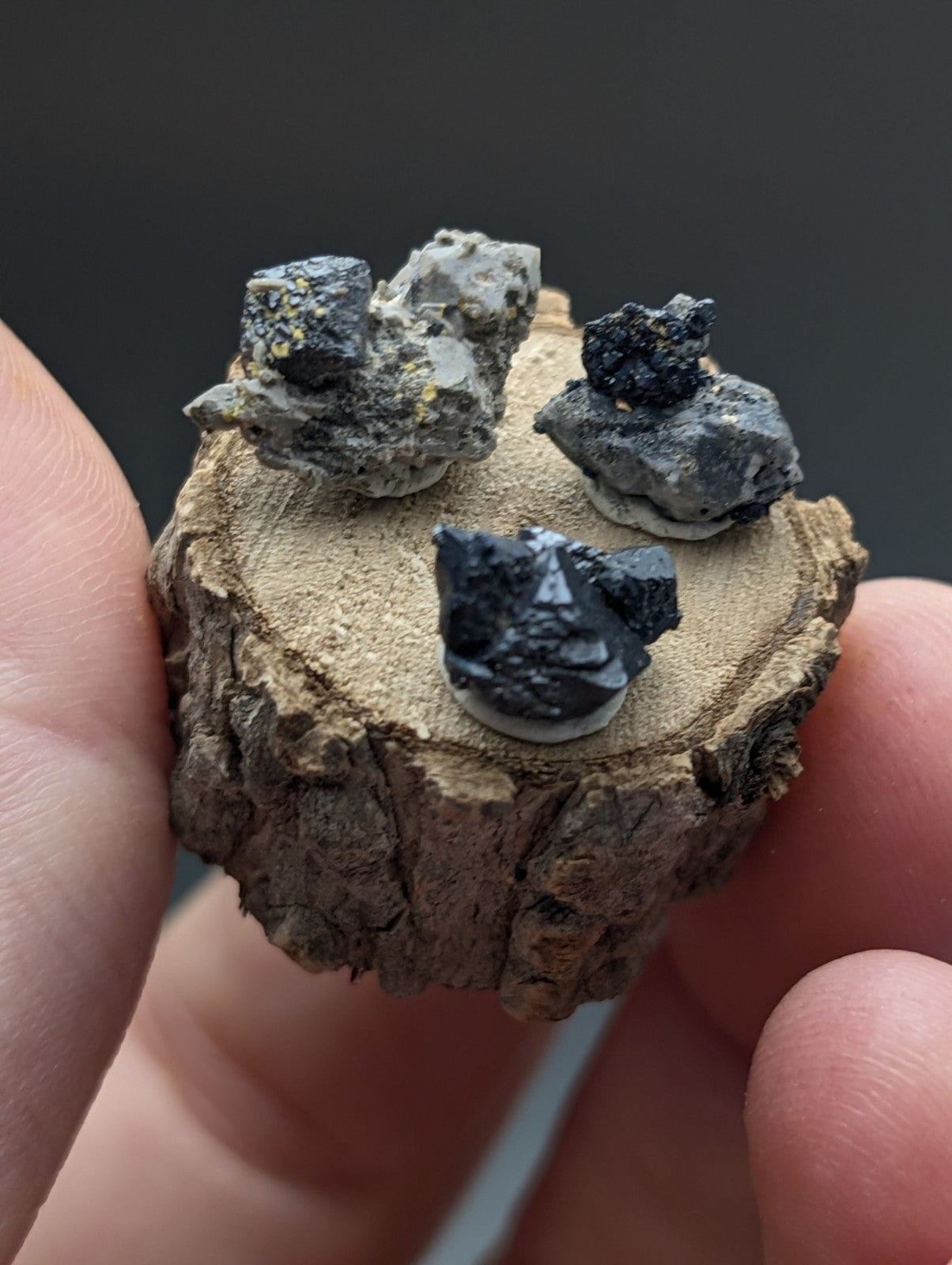 Set of 3 brookite and smoky quartz dark crystalline mineral specimens with yellow and gray matrix on wooden stand