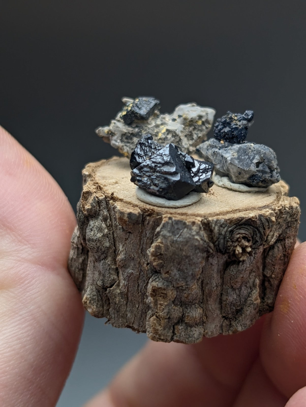 A rustic wooden slice displaying a set of 3 dark glossy brookite and smoky quartz minerals with metallic sheen on wood stand