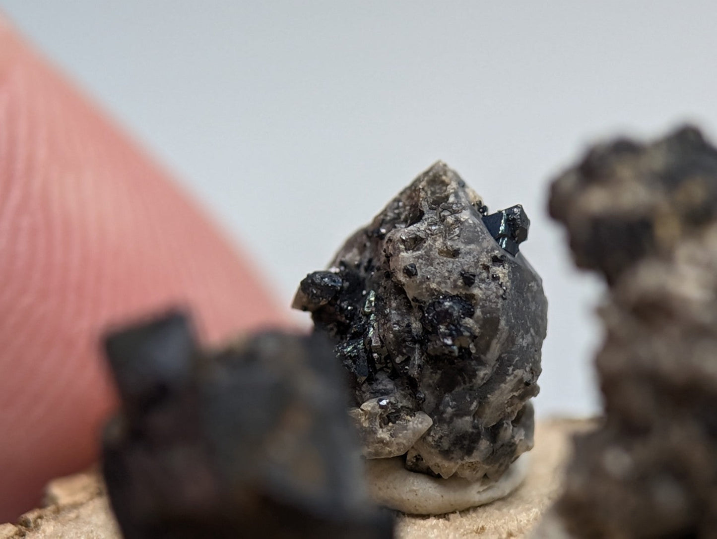 Set of 3 brookite and smoky quartz mineral specimens with black crystals and gray matrix on a wood stand from magnet cove arkansas
