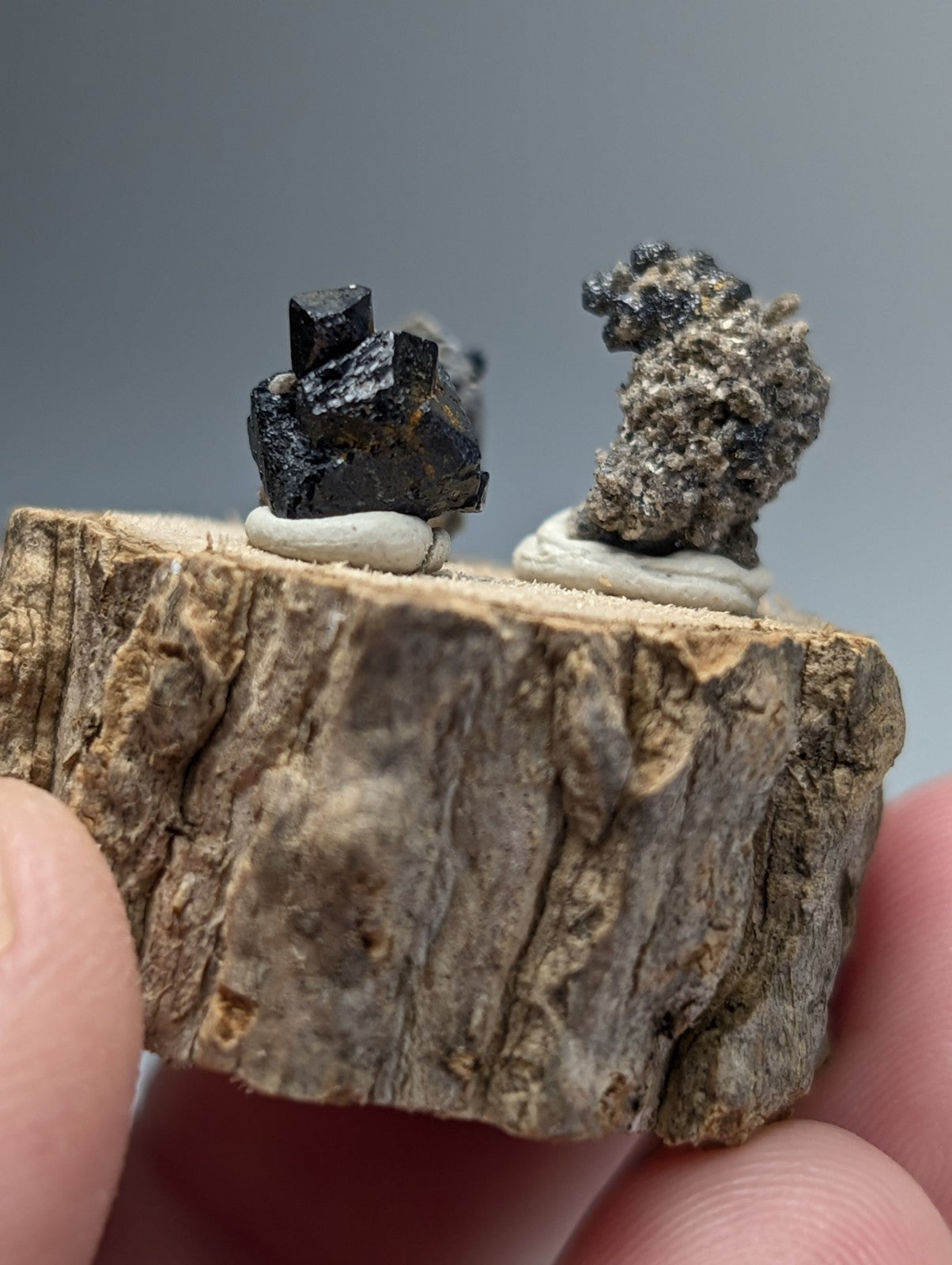 A rustic wooden slice displaying two mineral specimens with sharp black brookite crystals and gray smoky quartz