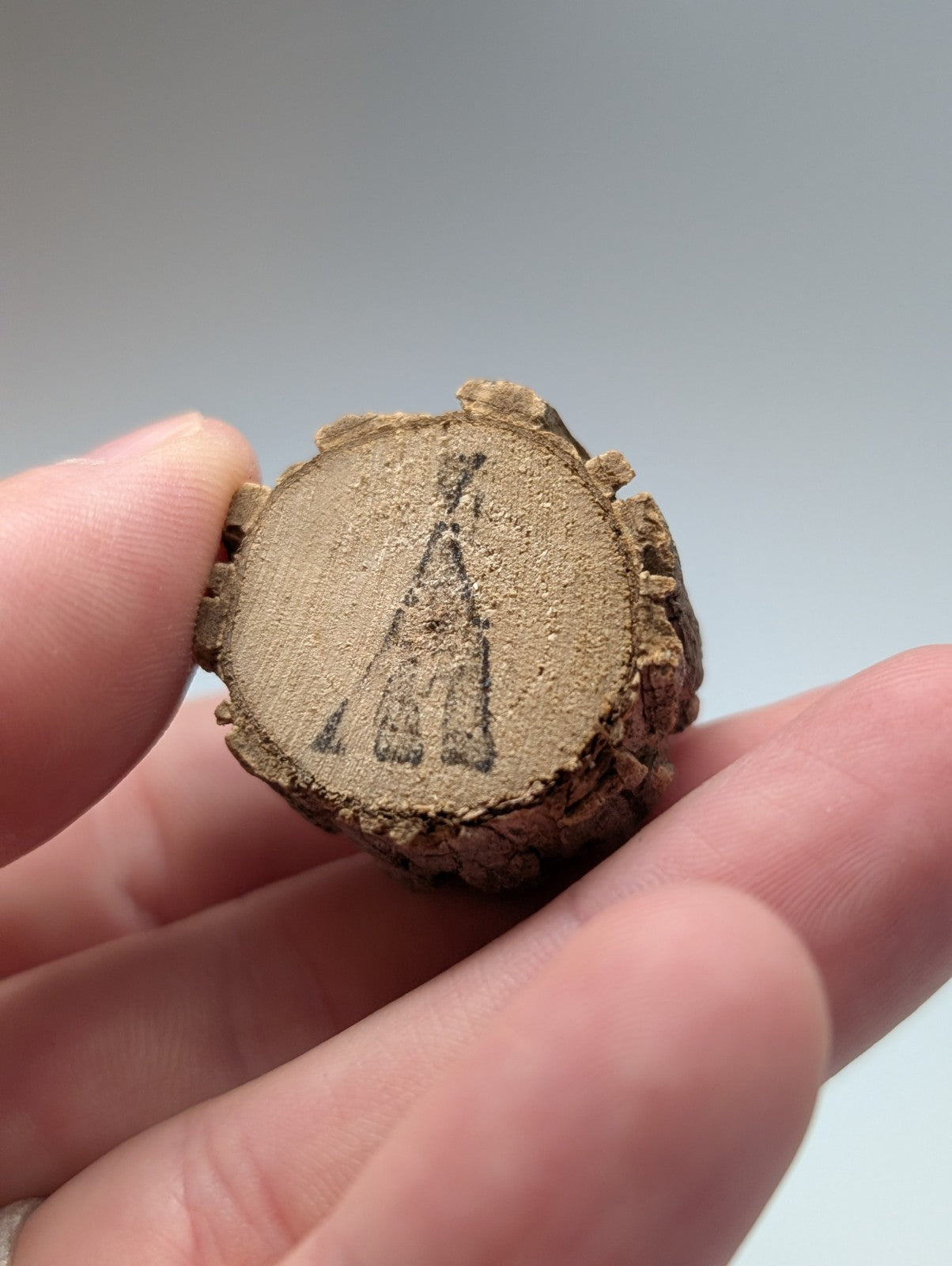 A rustic circular wooden slice with natural bark edge and carved teepee design in set of 3 brookite smoky quartz