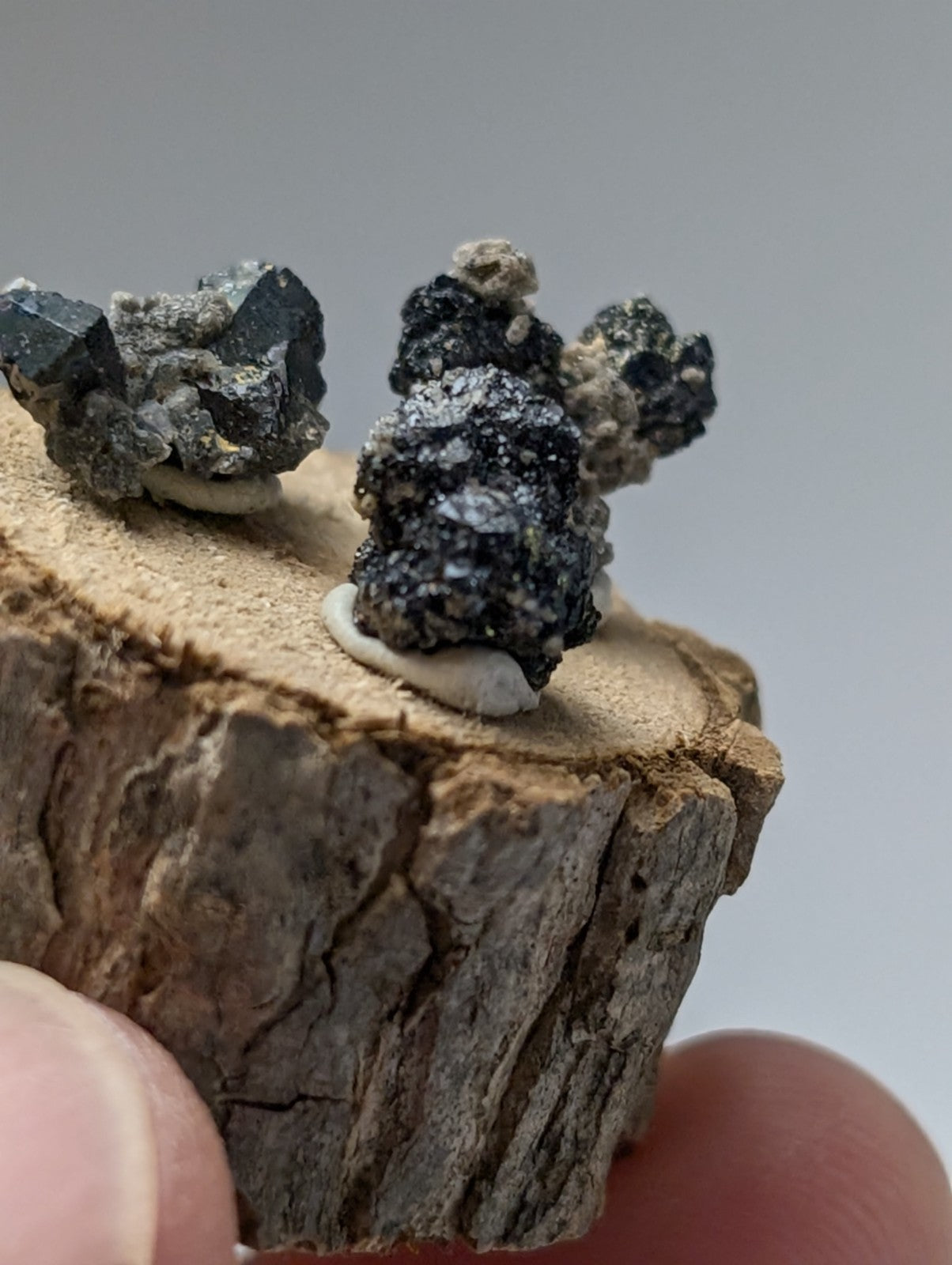 Set of 3 brookite and smoky quartz dark crystalline minerals with metallic sheen on natural wood slice stand