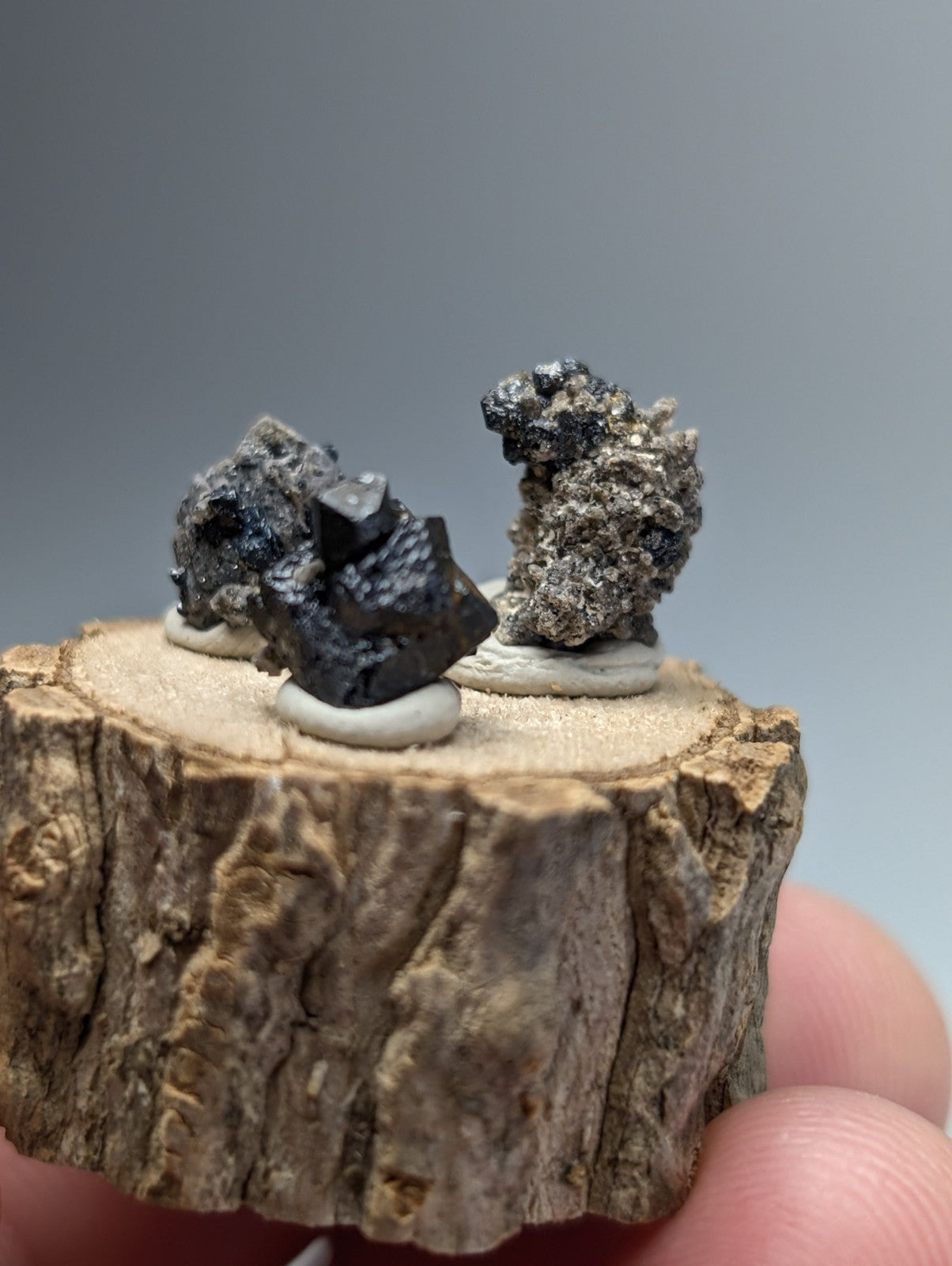 A rustic wooden slice displaying a set of 3 brookite and smoky quartz mineral specimens from magnet cove arkansas