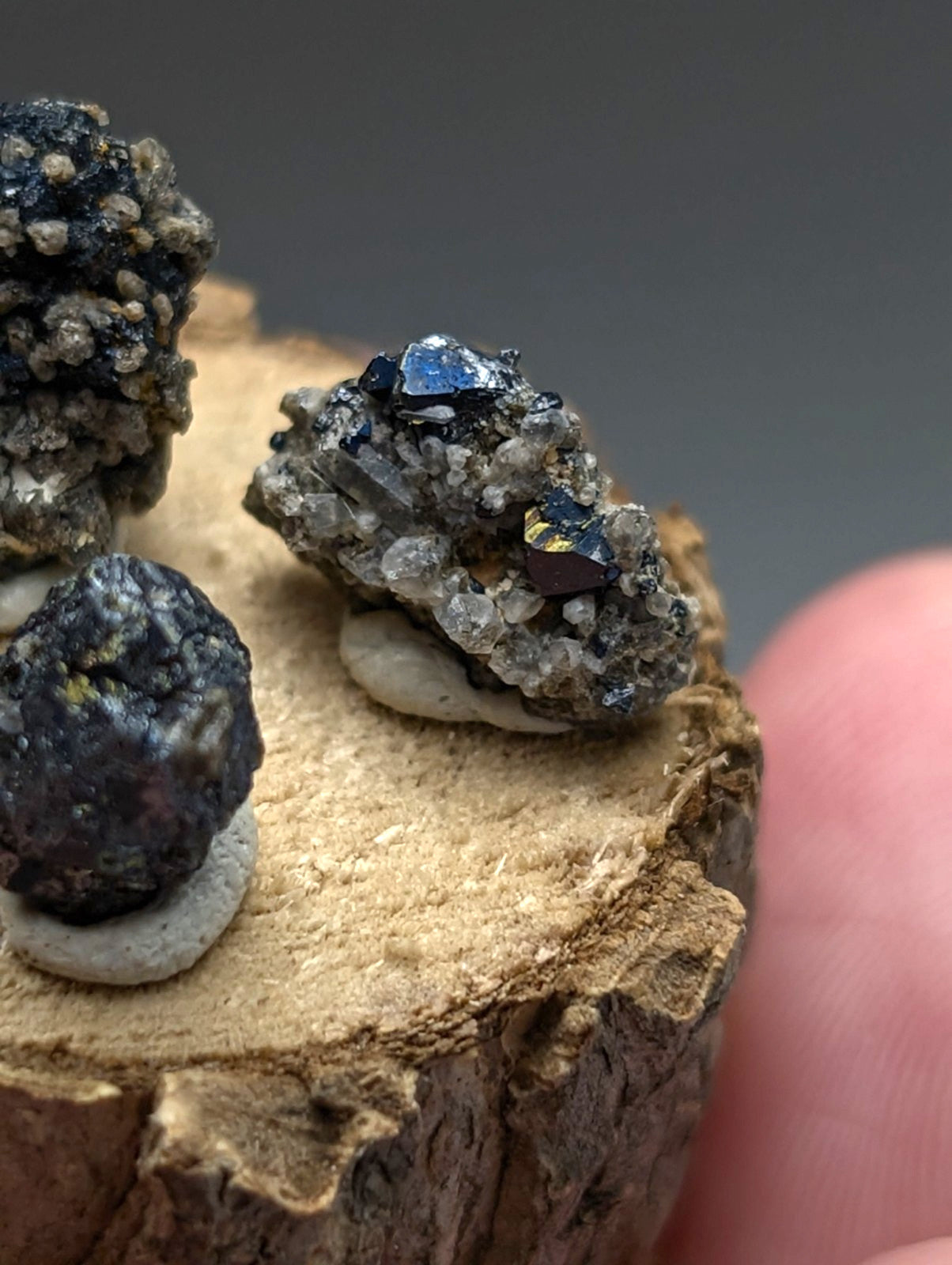 Set of 3 brookite and smoky quartz gray rocks with blue and dark crystals on rustic wooden display slice