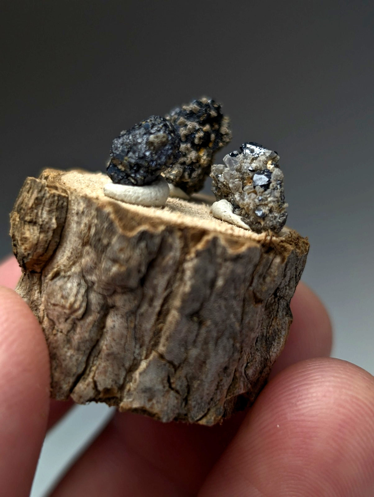 A rustic wooden slice displaying two dark brookite mineral specimens with metallic sheen and white quartz inclusions