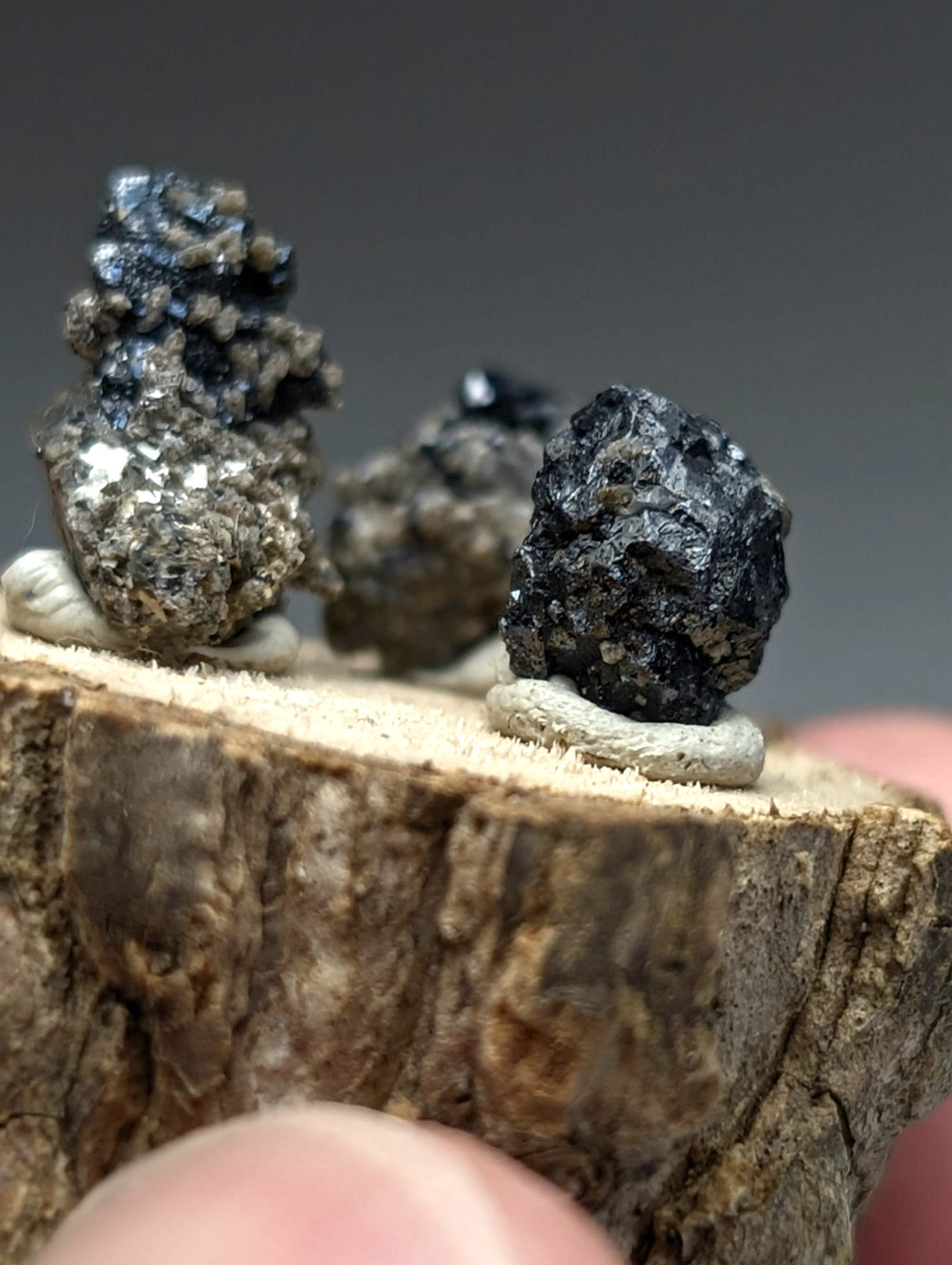 Set of 3 brookite and smoky quartz mineral specimens with dark metallic surfaces on natural wood slice stand