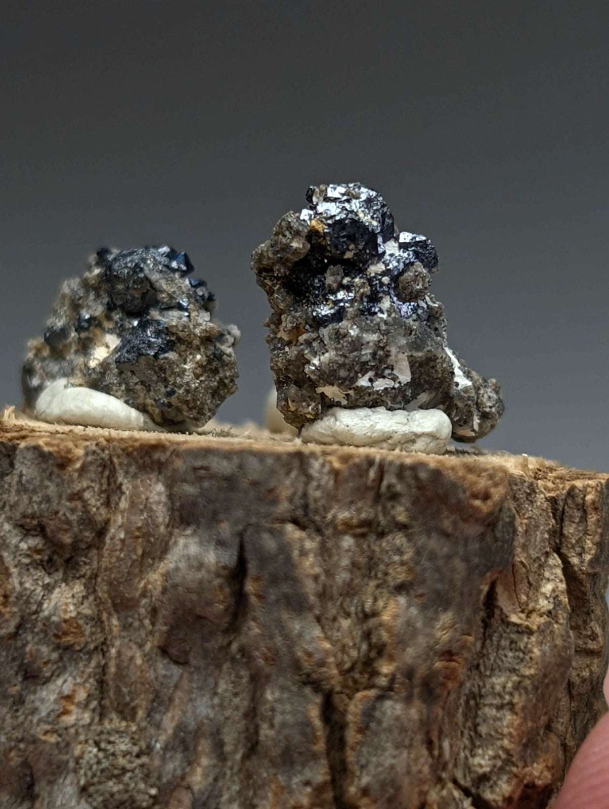 Set of 3 brookite and smoky quartz dark mineral rocks with metallic sheen and white crystals on wood stand