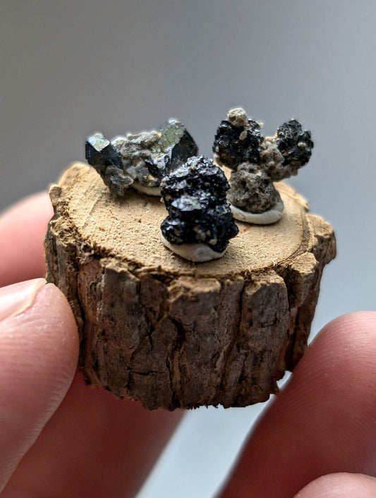 A rustic wooden slice displaying three brookite and smoky quartz mineral specimens with iridescent green and black facets