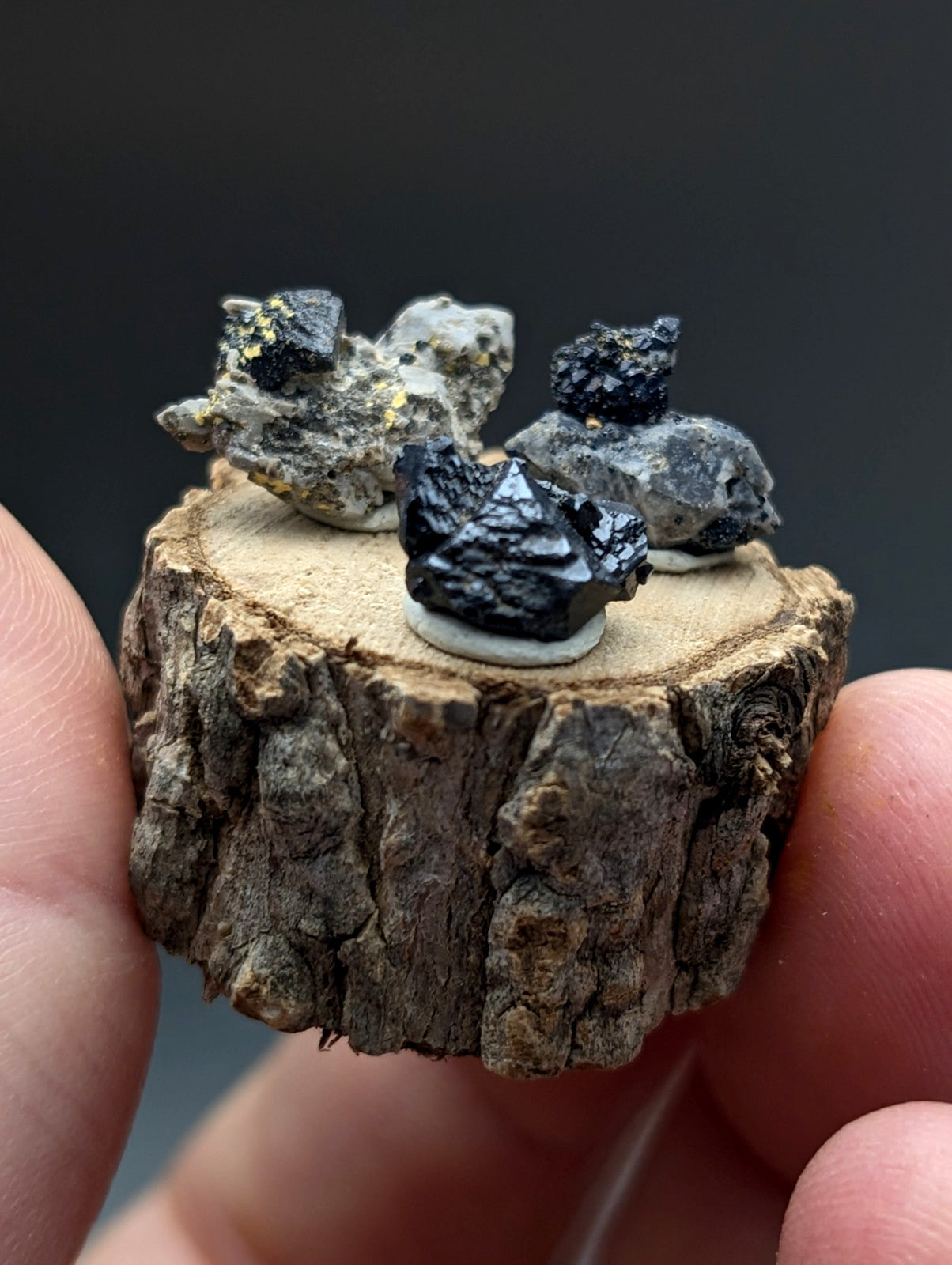 Set of 3 brookite and smoky quartz dark glossy mineral specimens with yellow flecks on rustic wood stand from arkansas