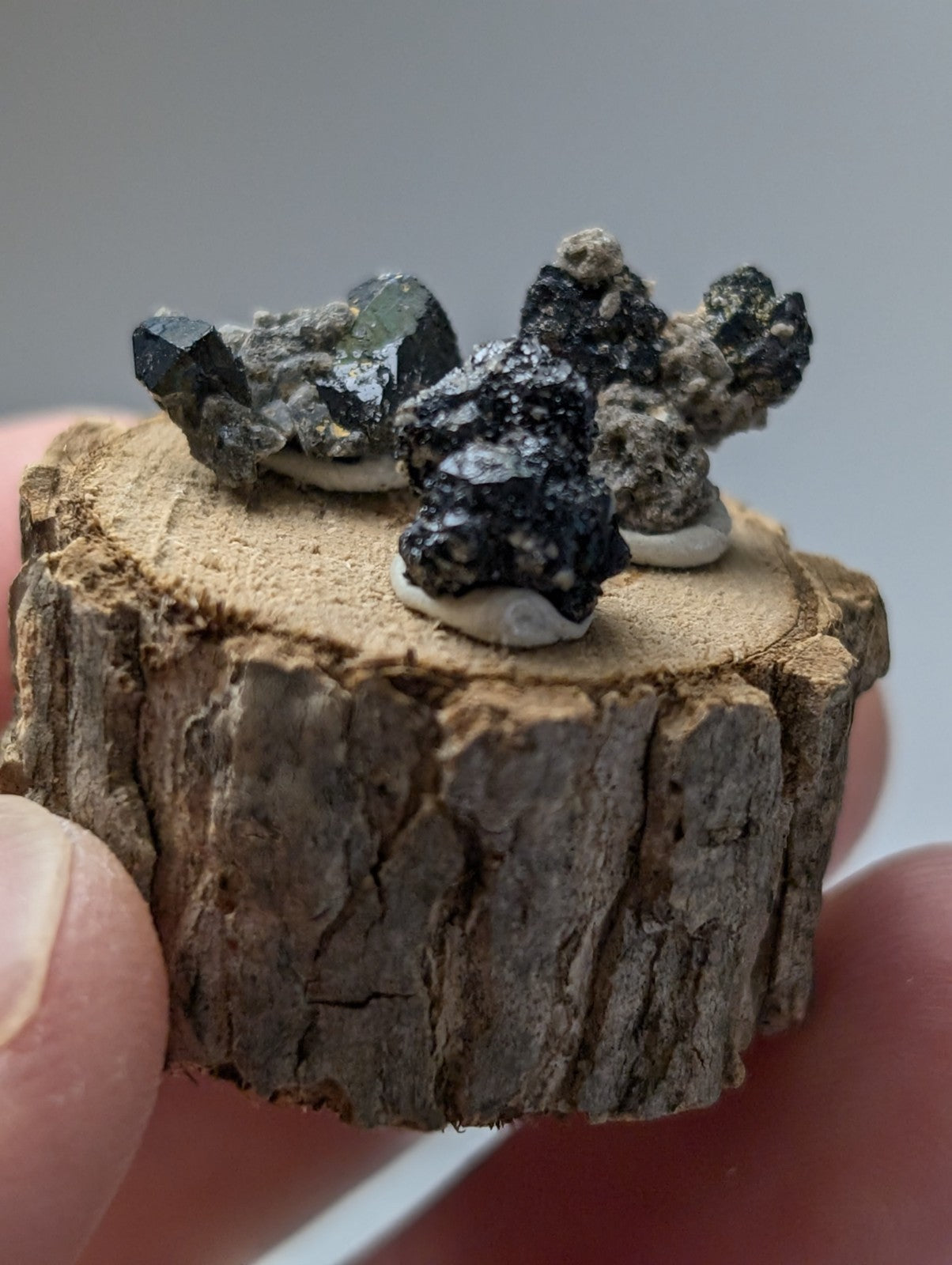 Set of 3 dark glossy brookite and smoky quartz mineral specimens with crystalline formations on a rustic wood stand