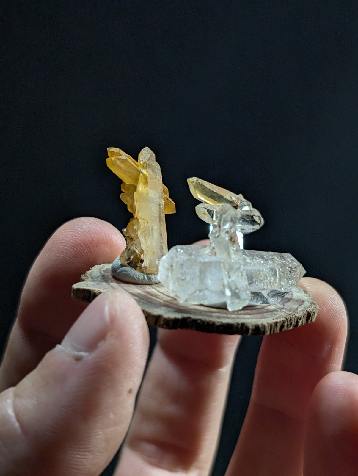 A hand holds a miniature natural crystal display featuring translucent yellow and clear quartz formations mounted on a rustic wooden slice.