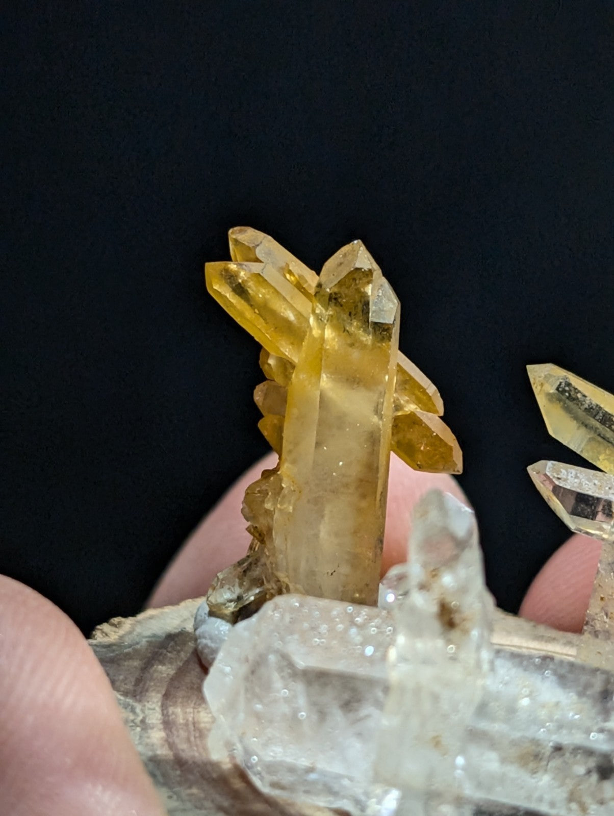 A cluster of translucent yellow citrine crystals with sharp, faceted points emerging from a rough, clear quartz base.