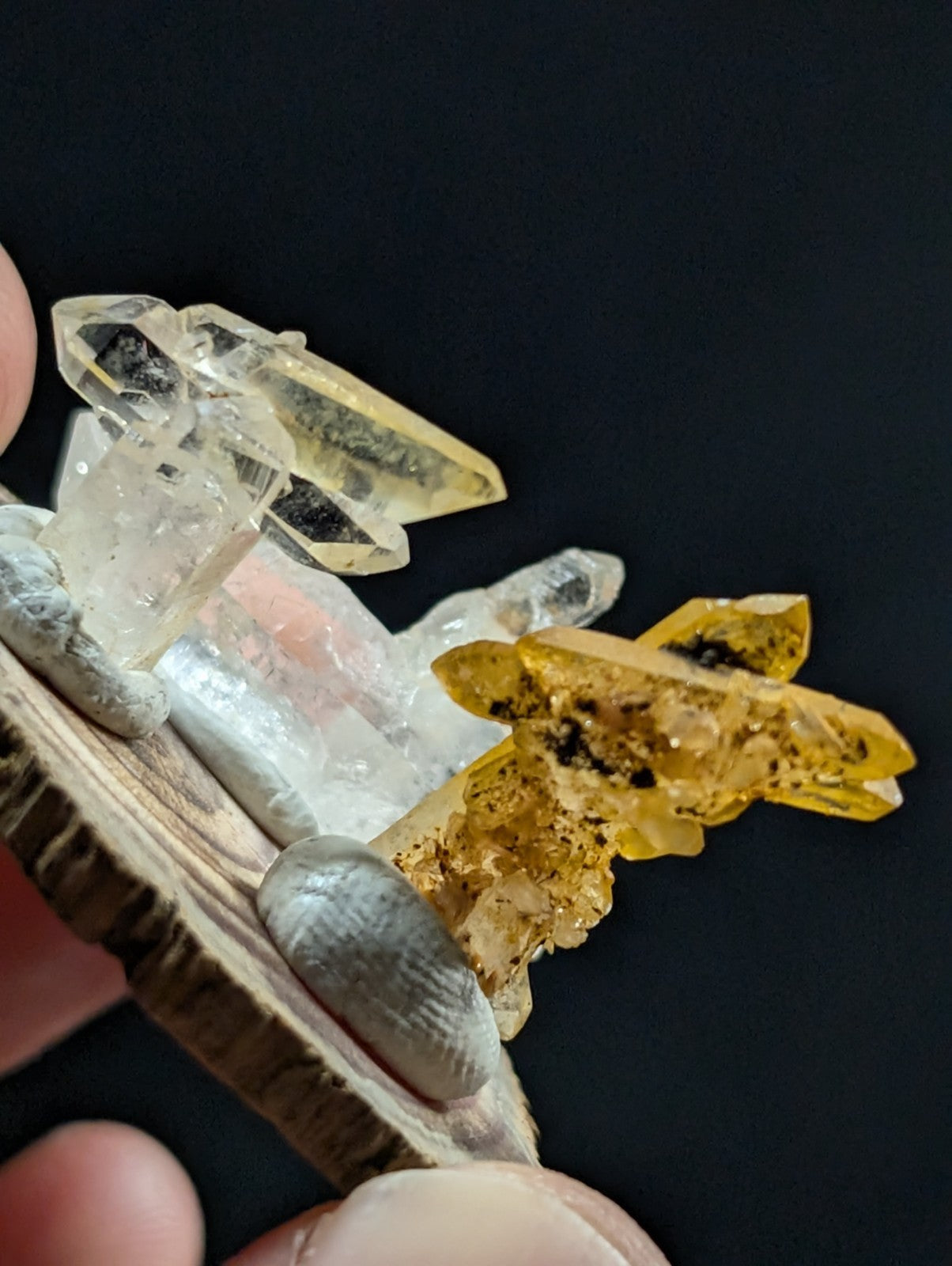 A cluster of translucent quartz crystals, featuring clear and golden-yellow varieties with dark inclusions, displayed on a natural wooden base.