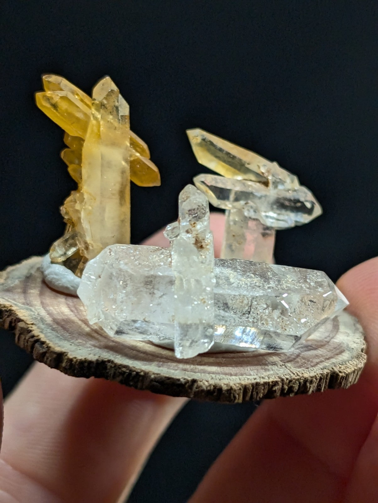 A clear quartz crystal cluster with golden-yellow citrine crystals arranged on a rustic wooden slice.