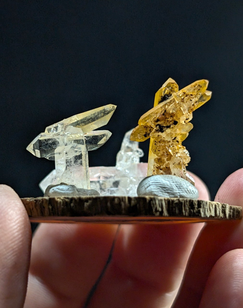 A hand holds a rustic wooden slice displaying two distinct crystal formations — one clear and transparent with sharp, angular facets, the other golden-yellow with rougher, more organic textures.