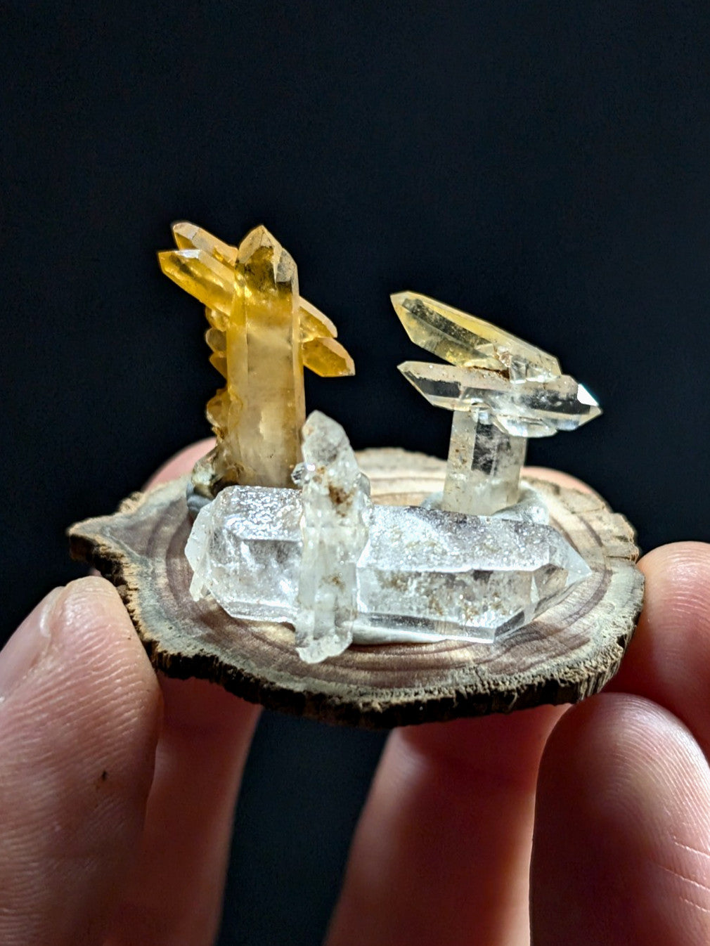 A hand holds a natural mineral display featuring translucent yellow and clear quartz crystals mounted on a rustic wooden slice.
