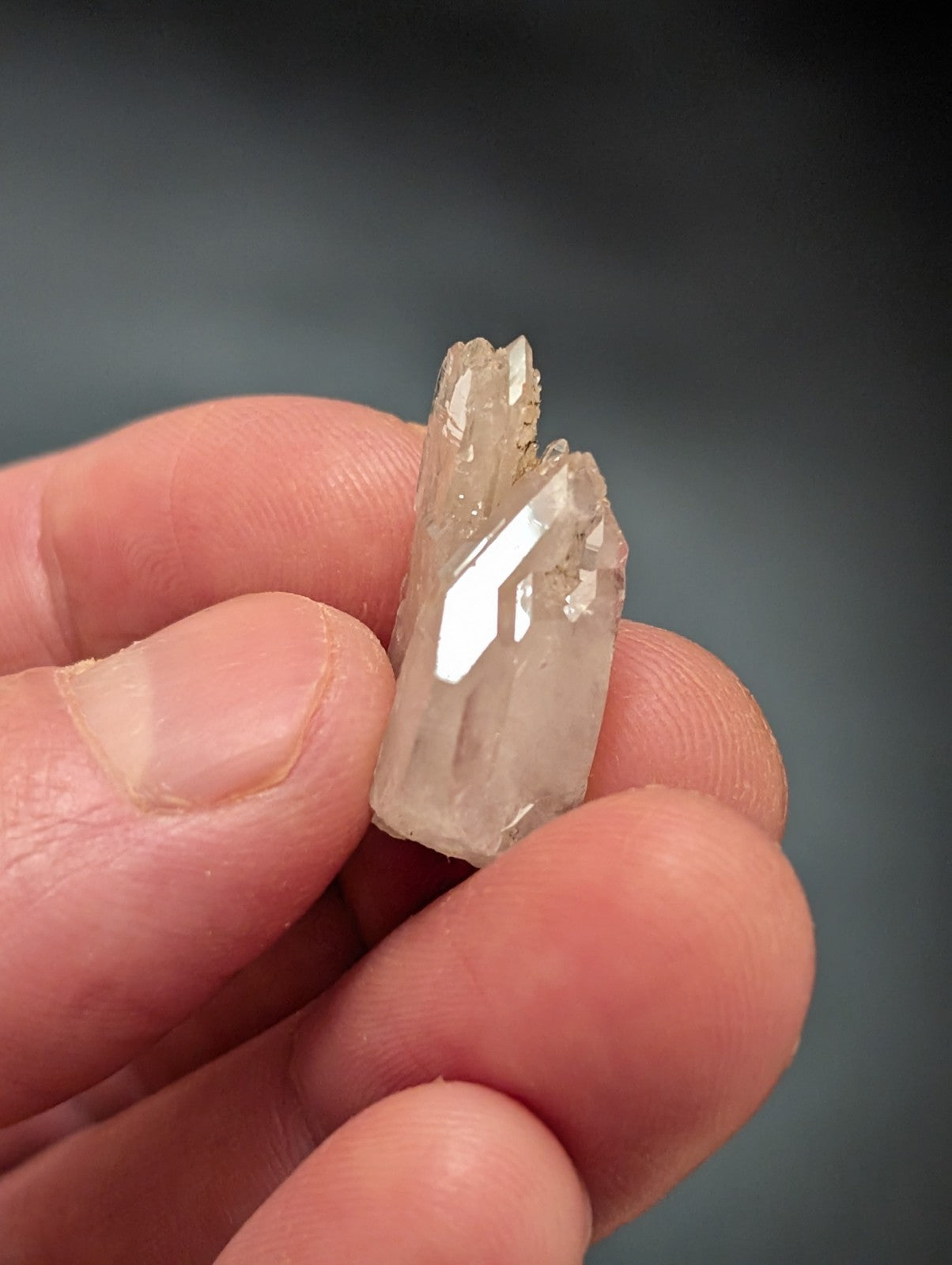 A translucent, clear quartz crystal with sharp facets and a slightly rough top edge.