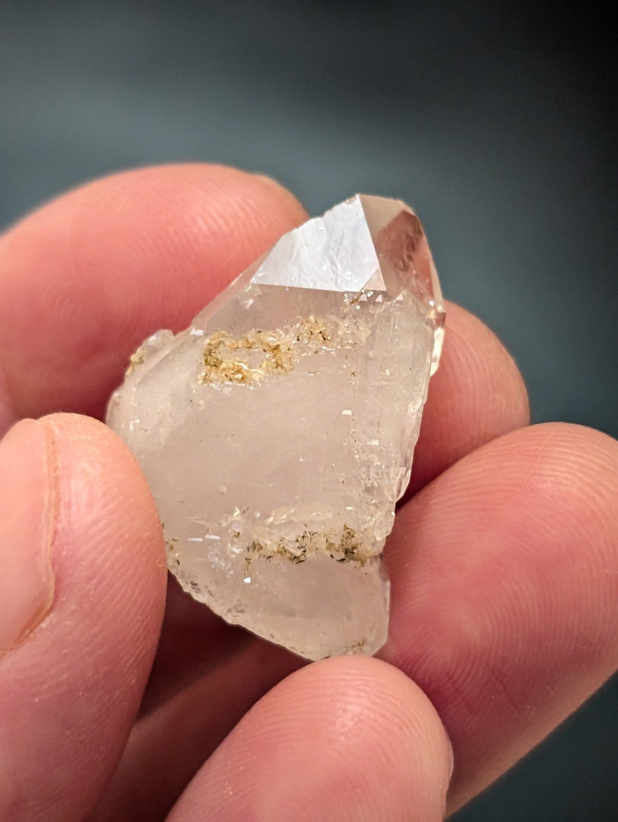 A translucent, clear quartz crystal with golden inclusions held gently between fingers.