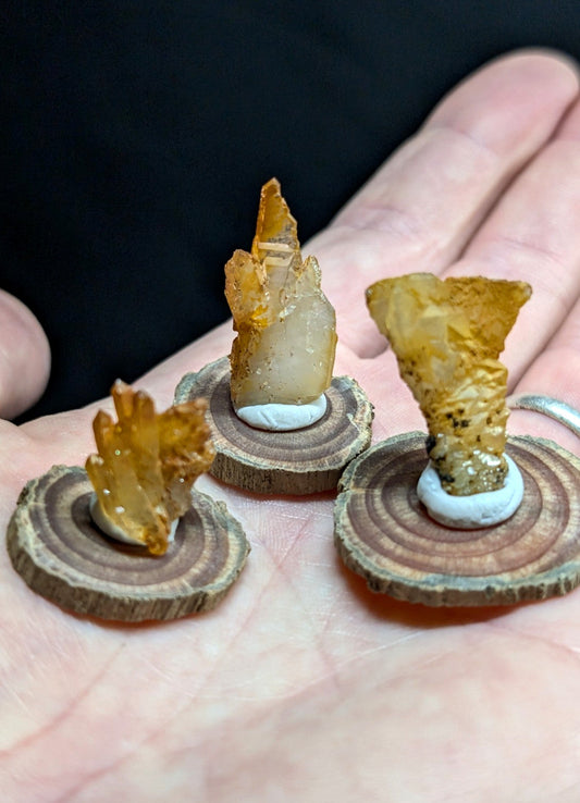 Three amber-colored crystal formations, each mounted on a circular wooden slice base with a white ceramic ring.