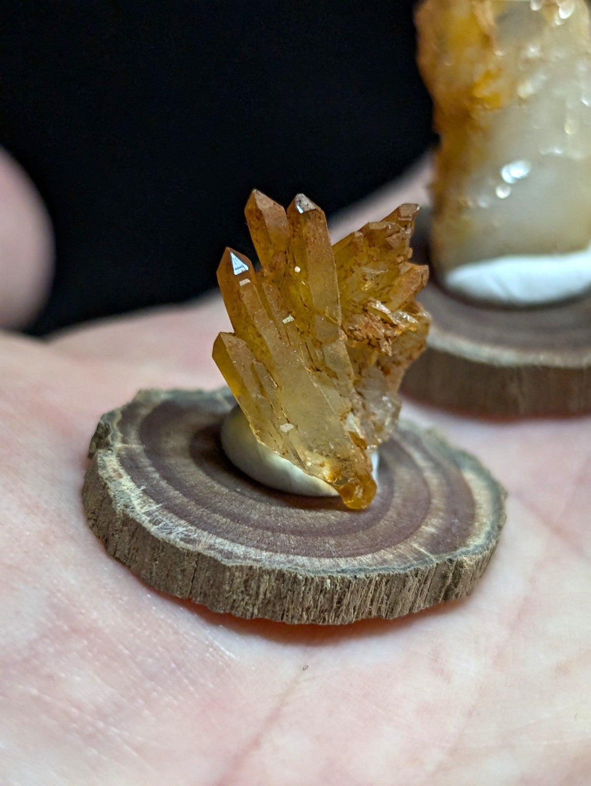 A golden-yellow citrine crystal cluster with sharp, translucent points rests elegantly on a rustic wooden slice.