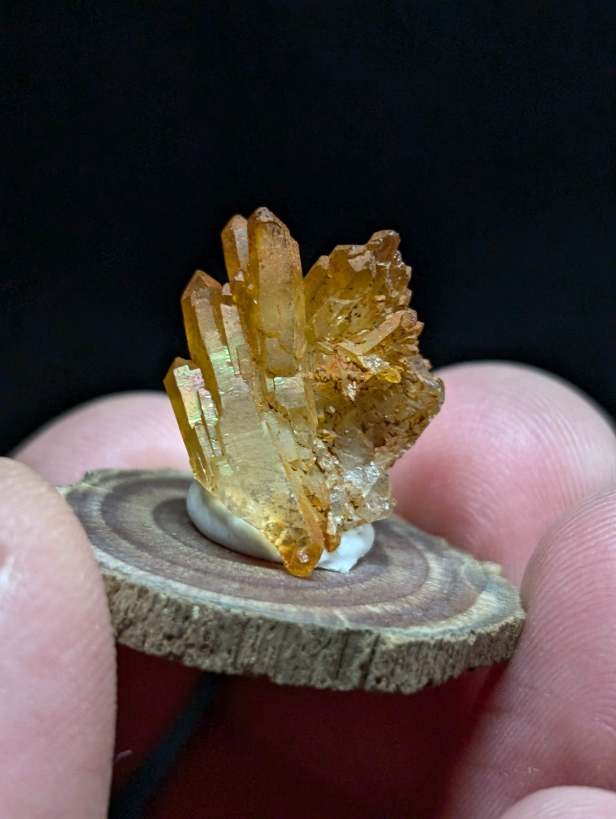 A cluster of translucent golden-yellow citrine crystals with sharp, faceted points and a rougher base.