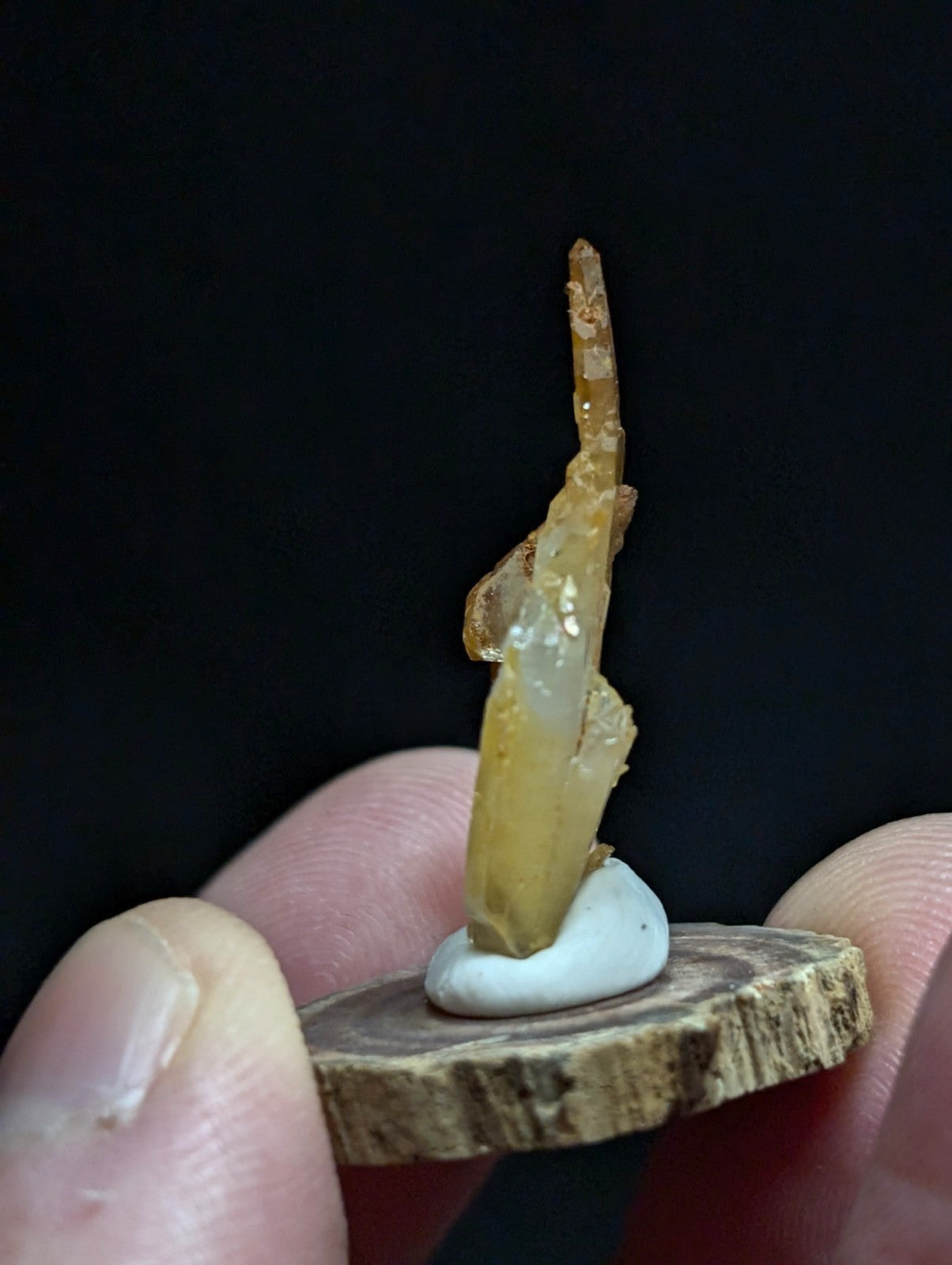 A translucent amber-colored crystal with a jagged, pointed tip and rough edges stands upright on a small white ceramic base, which is mounted on a circular slice of wood.