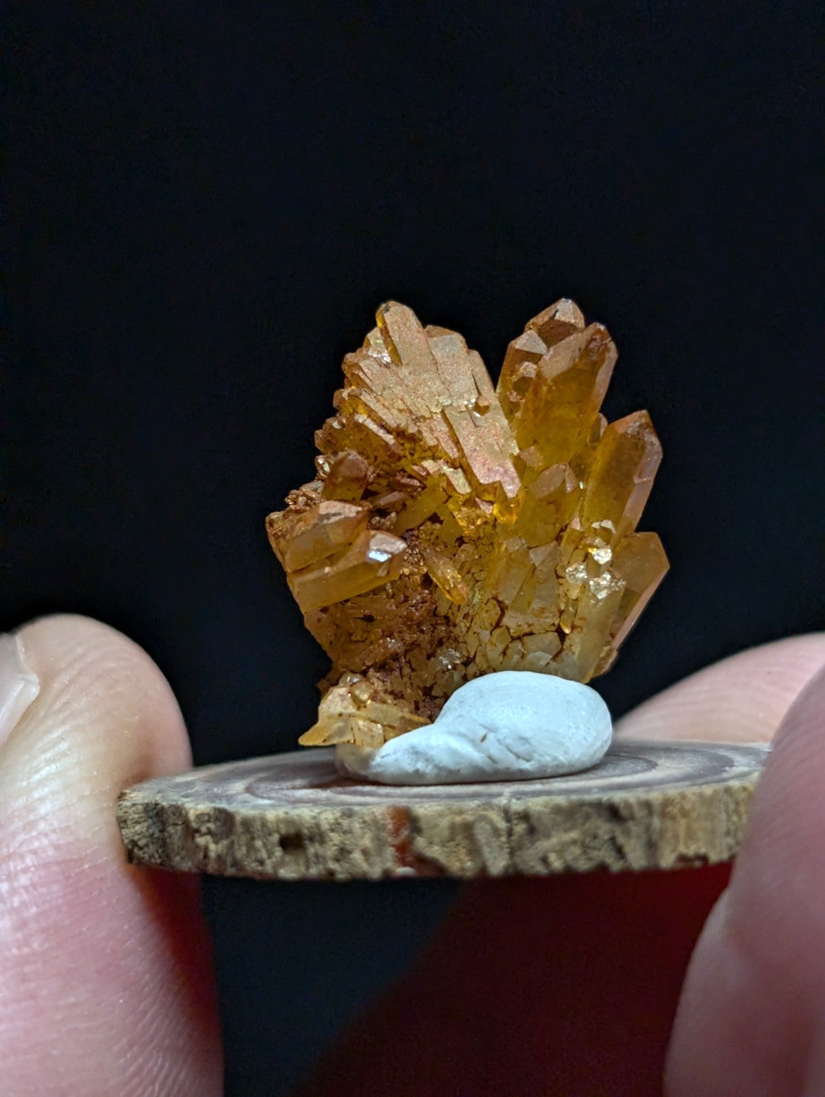 A cluster of translucent golden-yellow crystals with sharp, faceted edges and a glossy sheen.
