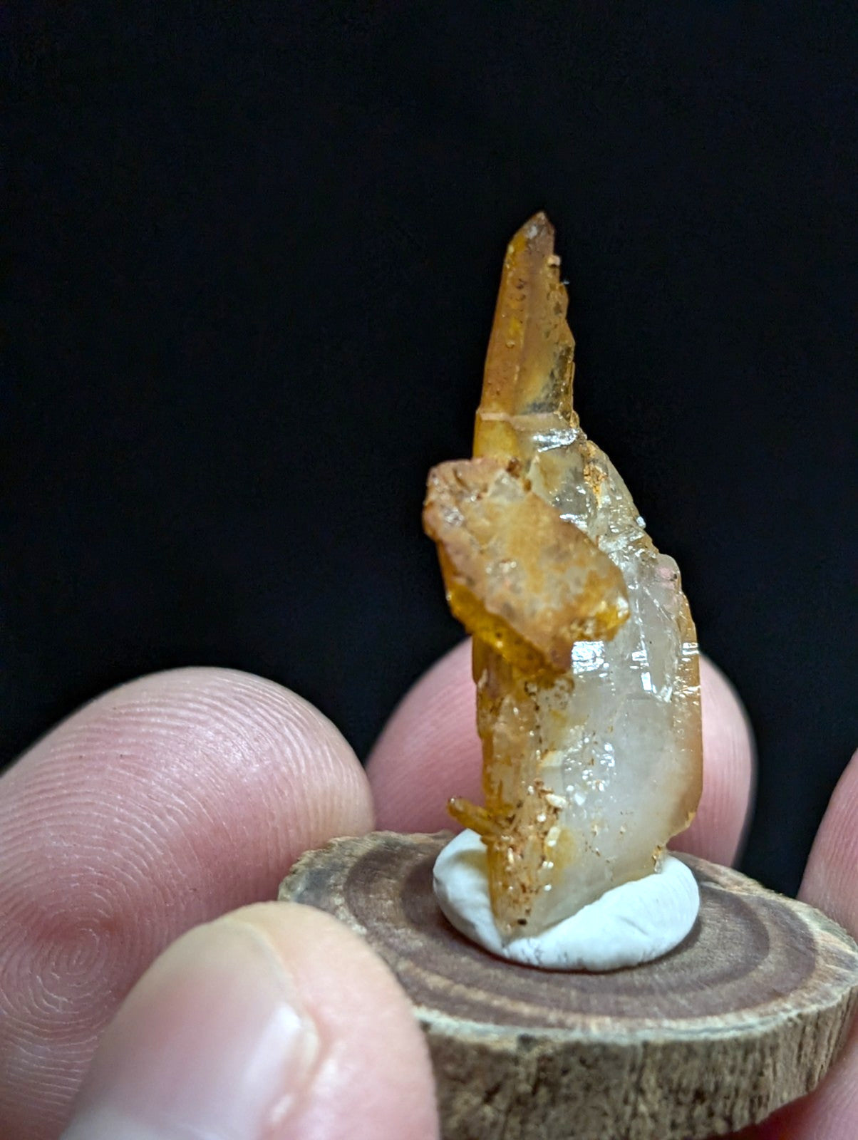 A translucent amber-colored crystal with a pointed tip and rough, faceted surfaces rests on a small white circular base atop a rustic wooden slice.