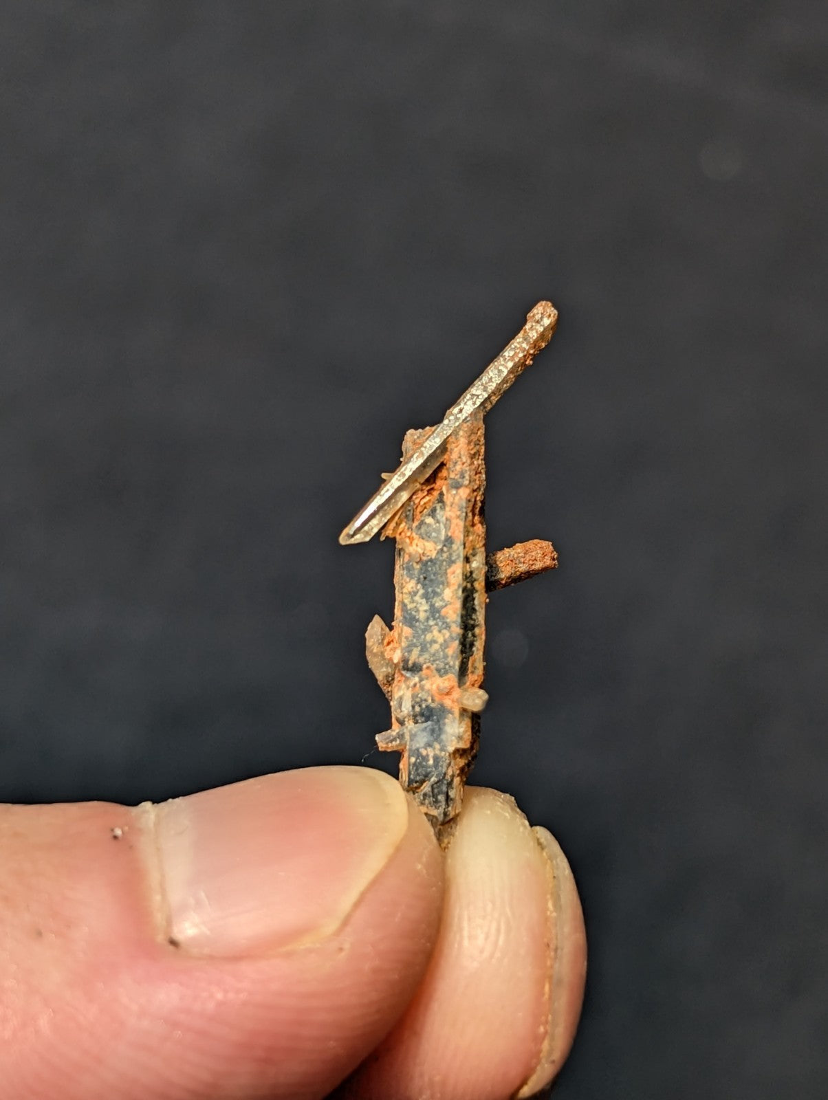 Rusty metal nail with a small, worn-out head and visible corrosion along its shaft.