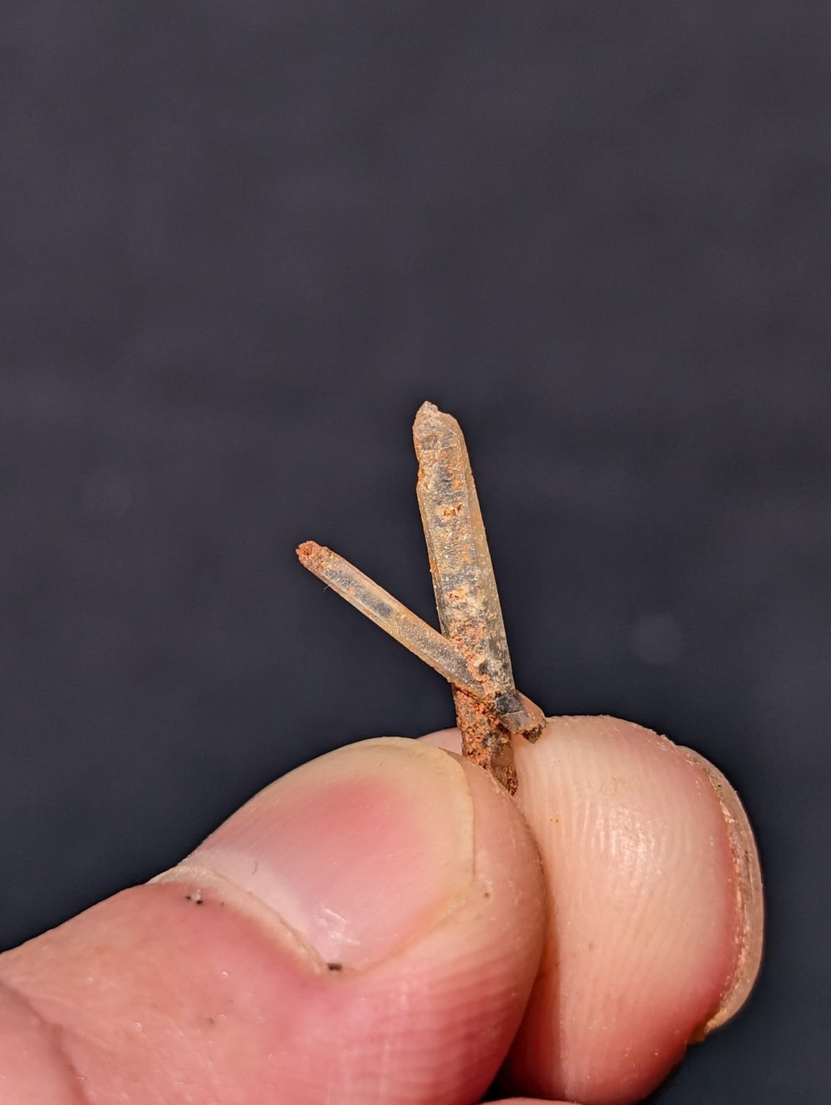 A rusted, v-shaped metal nail held between fingers.