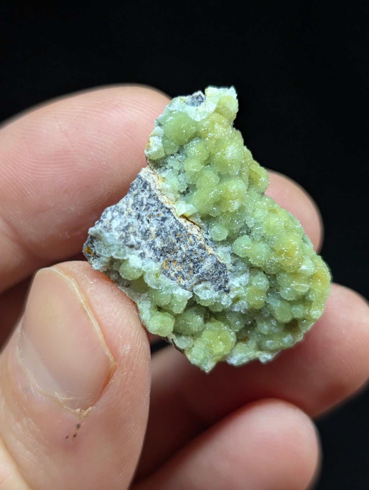 A hand holds a green, crystalline mineral specimen with rounded, bead-like formations and patches of grayish matrix.
