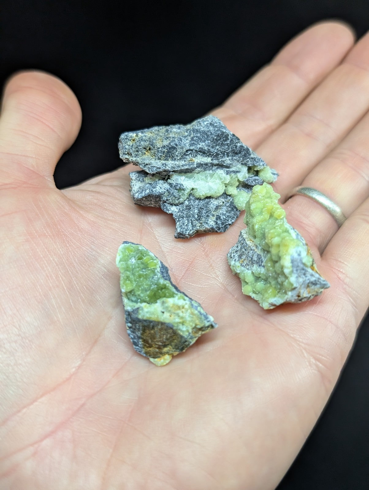 Hand holding three irregularly shaped pieces of green and gray mineral specimens with a rough, natural texture.