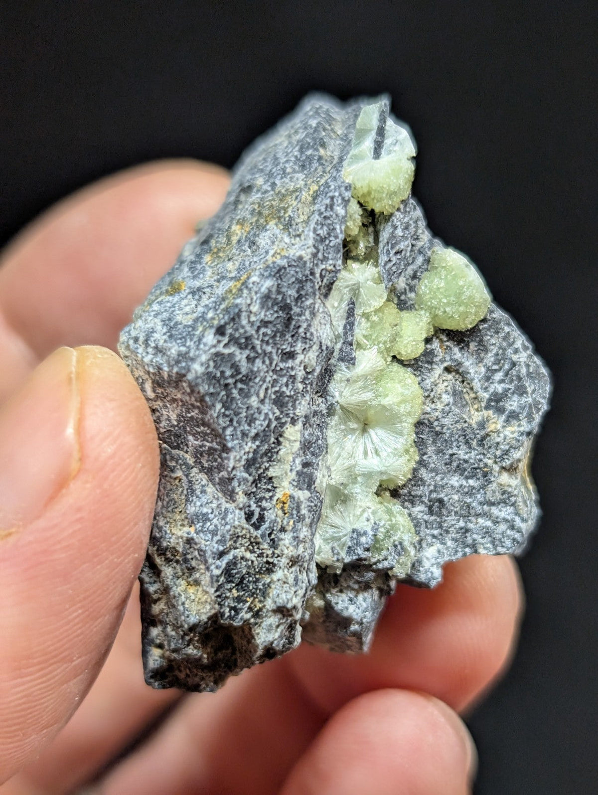 A hand holds a rough, dark gray rock specimen featuring light green, translucent mineral crystals growing in clusters along its surface.