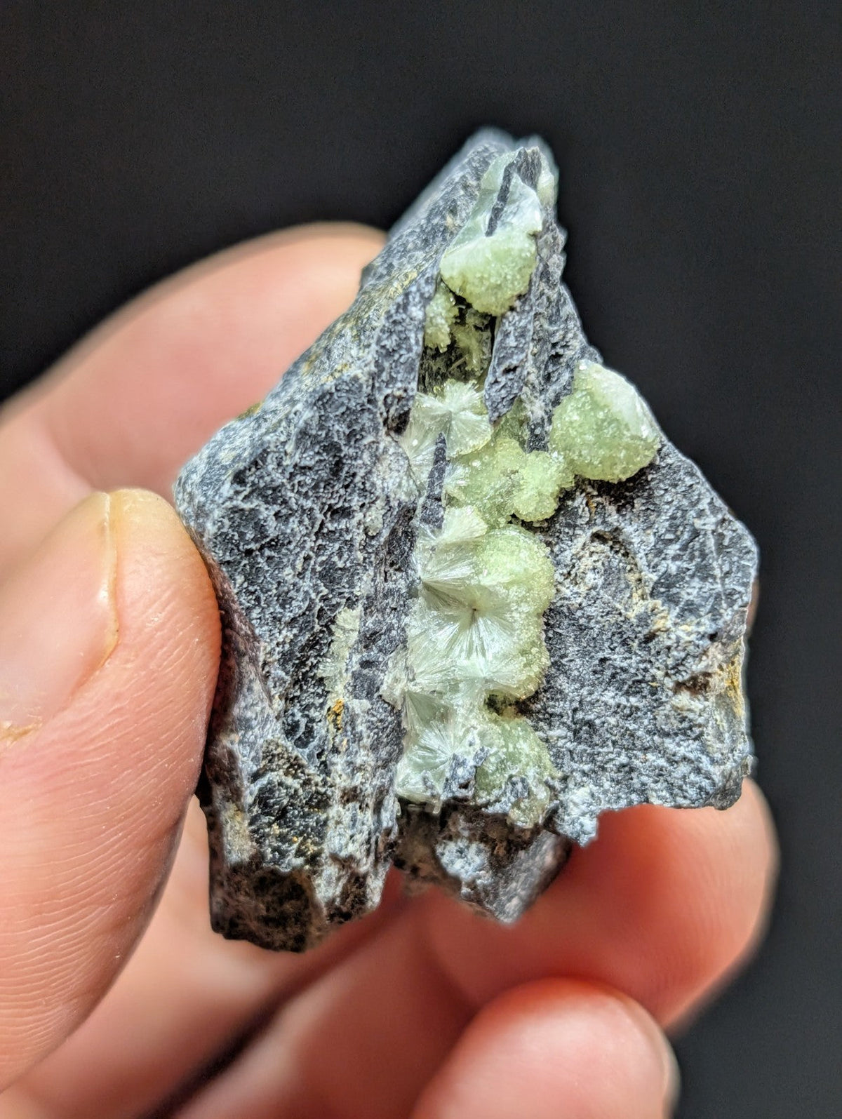 A hand holds a dark gray rock specimen featuring light green, crystalline formations.
