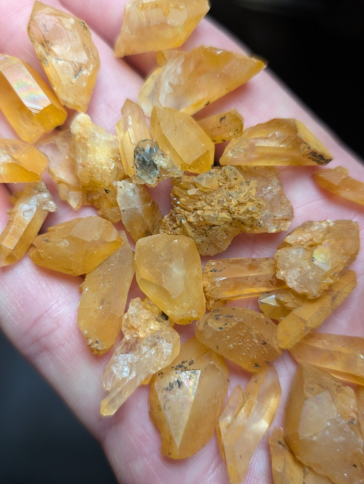 A hand holds a collection of translucent, golden-yellow citrine crystals with natural facets and some embedded inclusions.