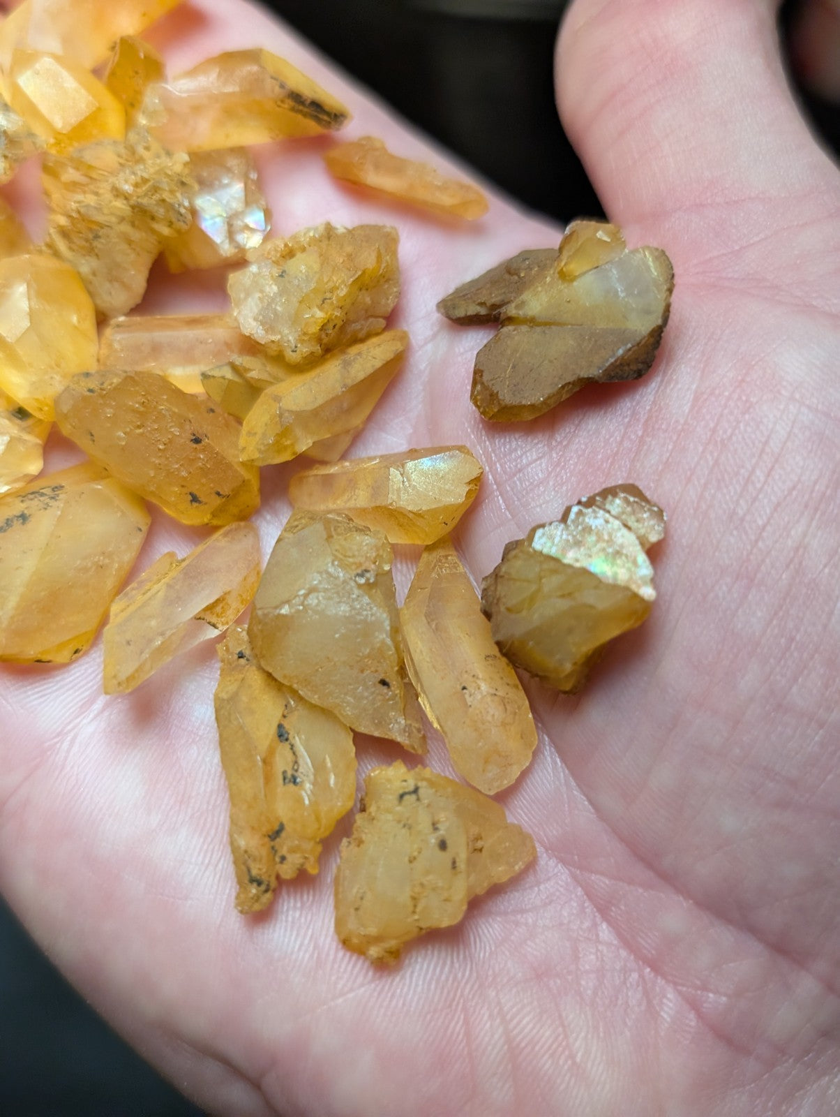 A hand holds a collection of translucent yellow-orange citrine crystals, some with visible inclusions and facets.
