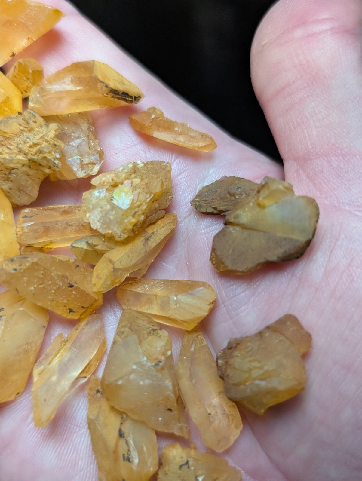 A hand holds a collection of translucent yellow-orange citrine crystals with jagged, faceted edges and some displaying golden inclusions.