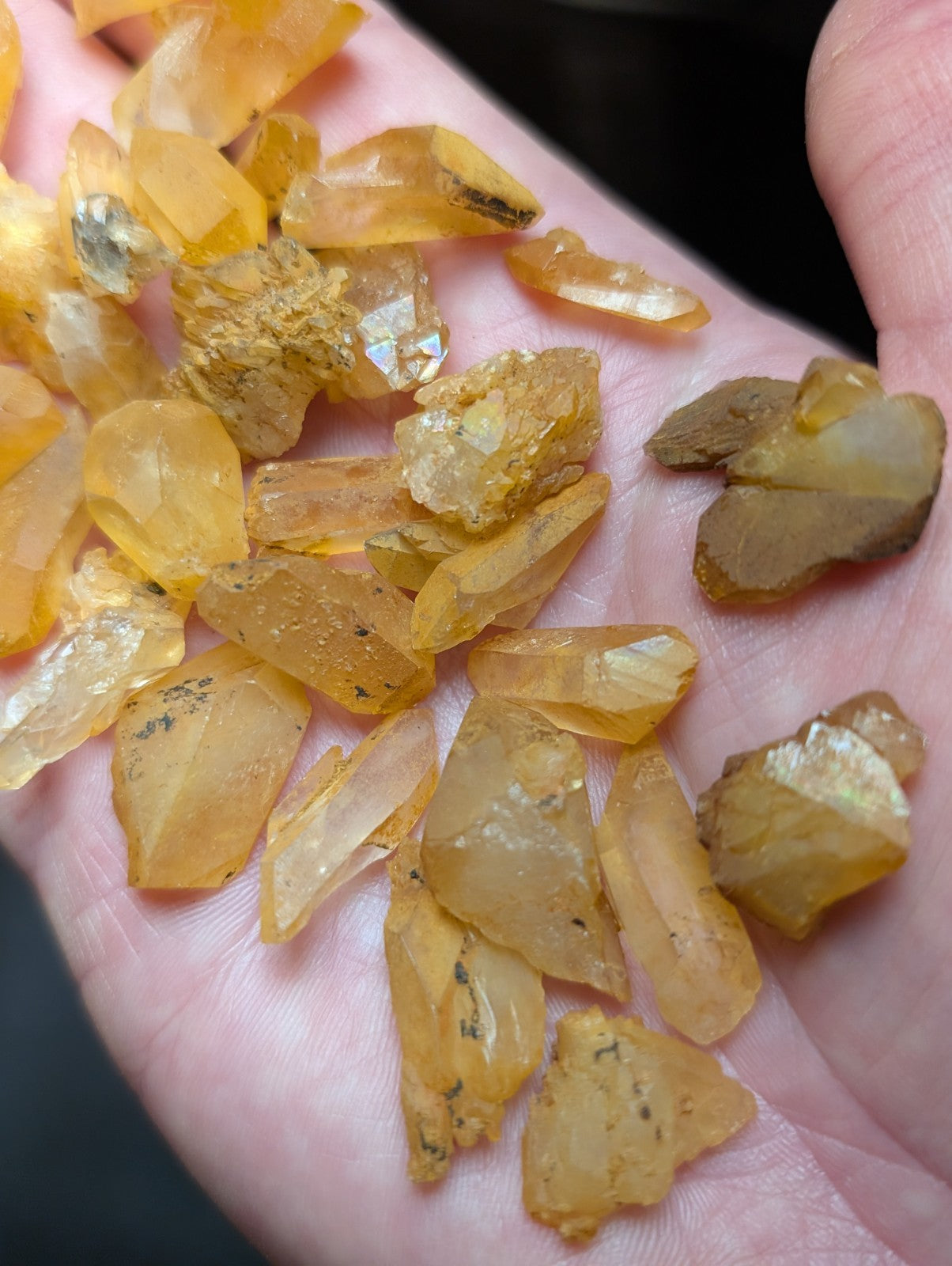A collection of translucent yellow-orange citrine crystals with natural facets and some dark inclusions, held gently in an open palm.