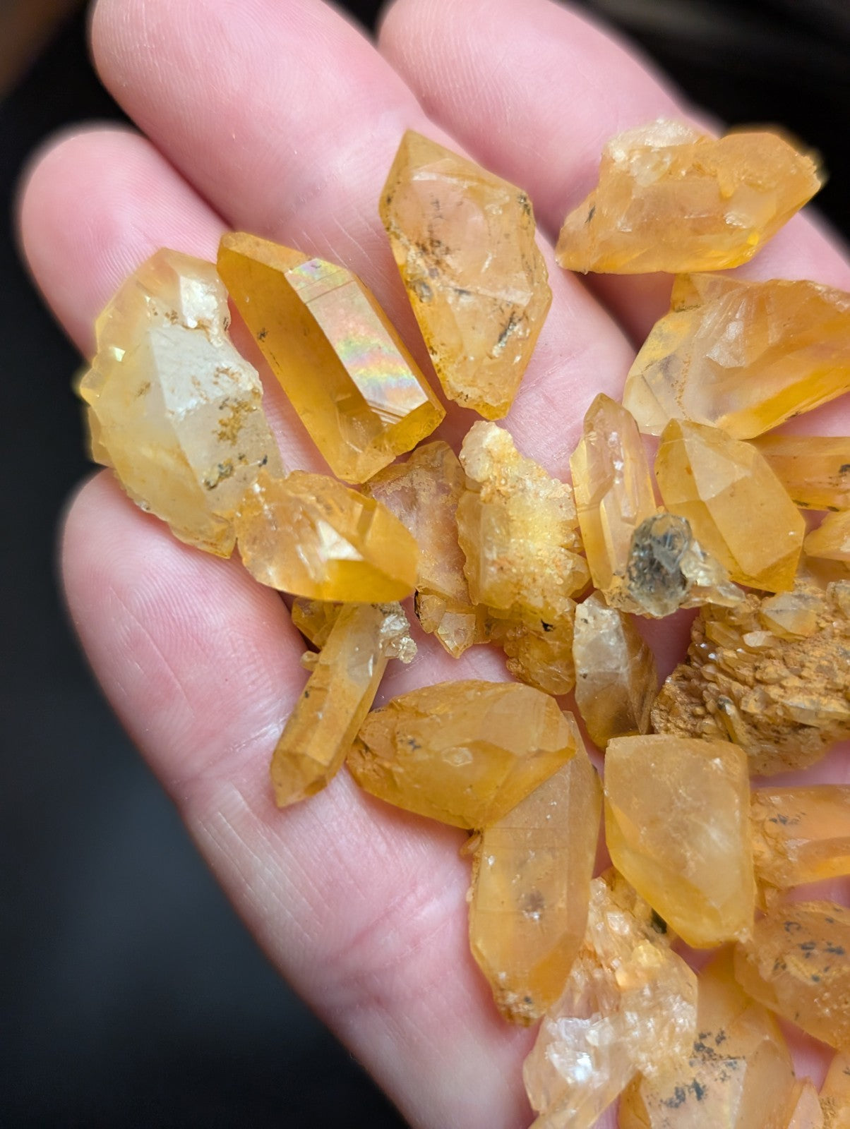 A hand holds a collection of translucent golden-yellow citrine crystals, some with visible inclusions and facets.