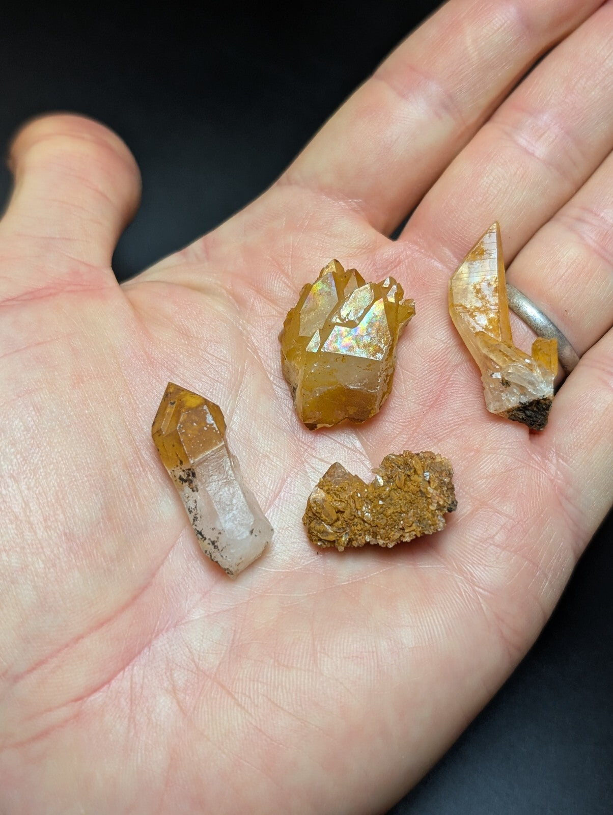 A hand holds four distinct golden-yellow quartz crystals, each with unique facets and natural imperfections.