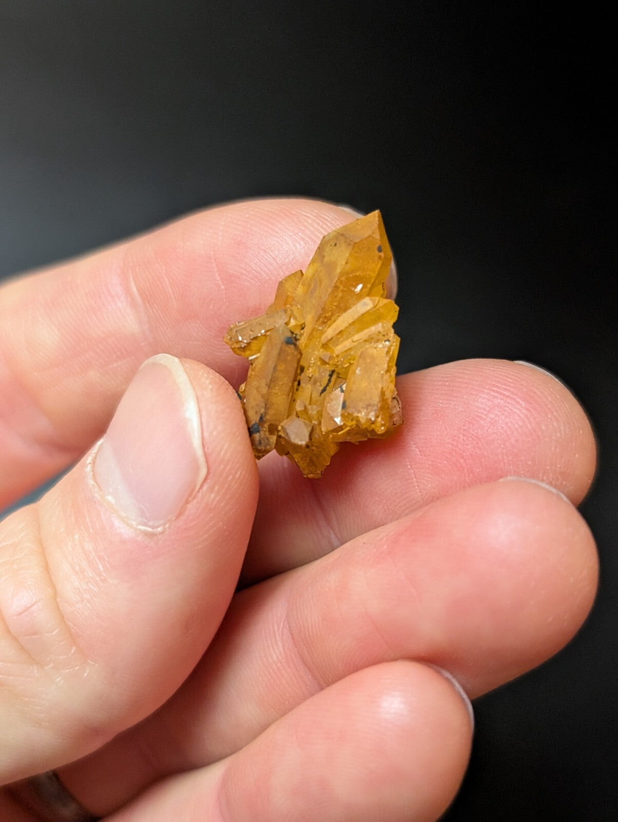 A translucent golden-yellow crystal cluster with sharp, faceted points and subtle internal inclusions.