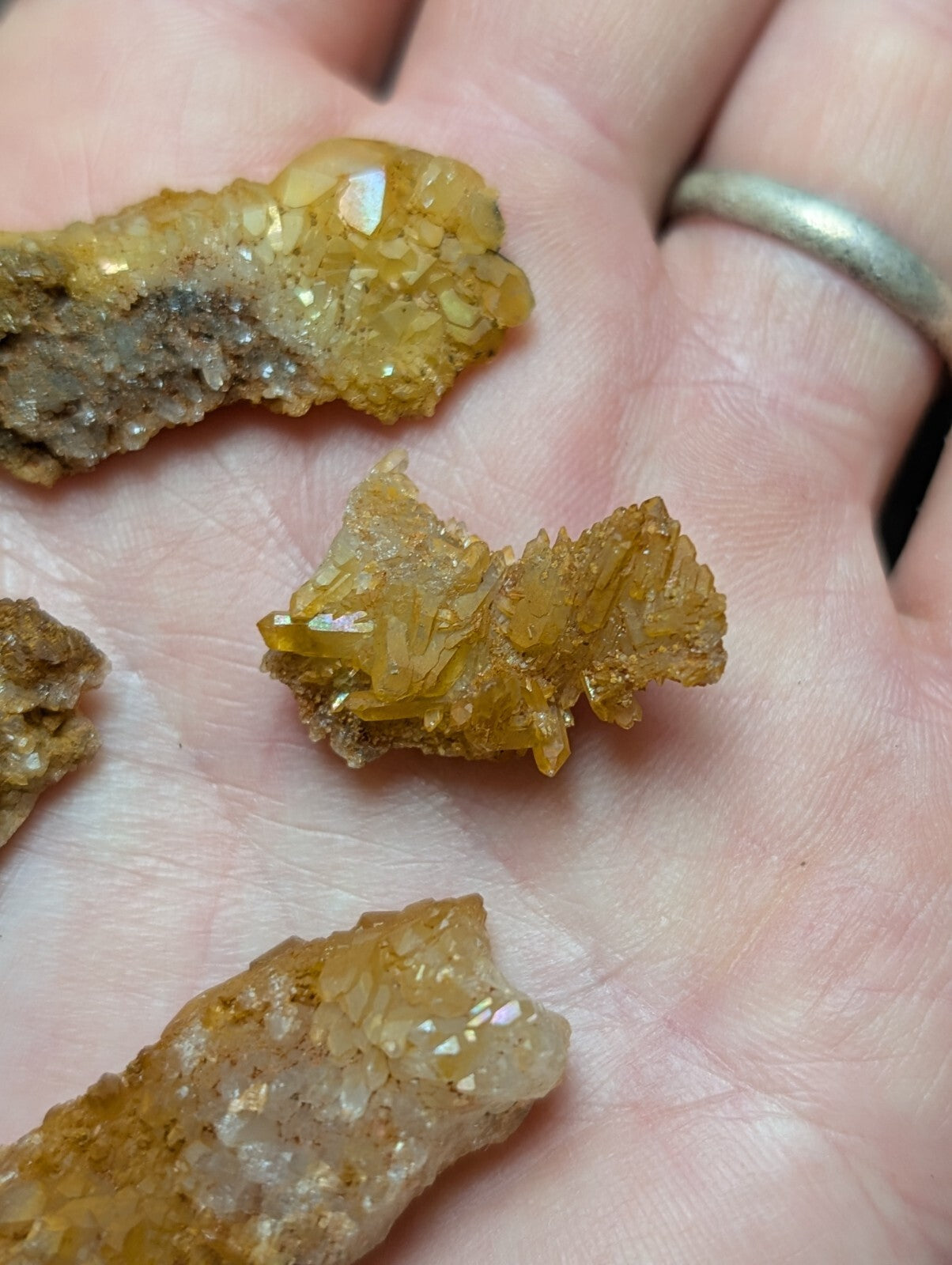 Golden-yellow crystal specimens with translucent, faceted formations and earthy matrixes held in a hand.