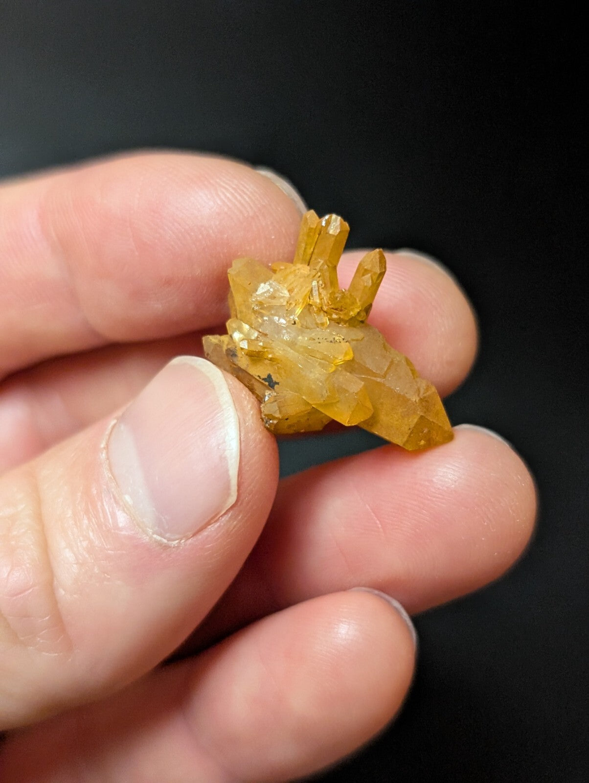 A cluster of translucent golden-yellow crystals with sharp, faceted points held gently in a hand.