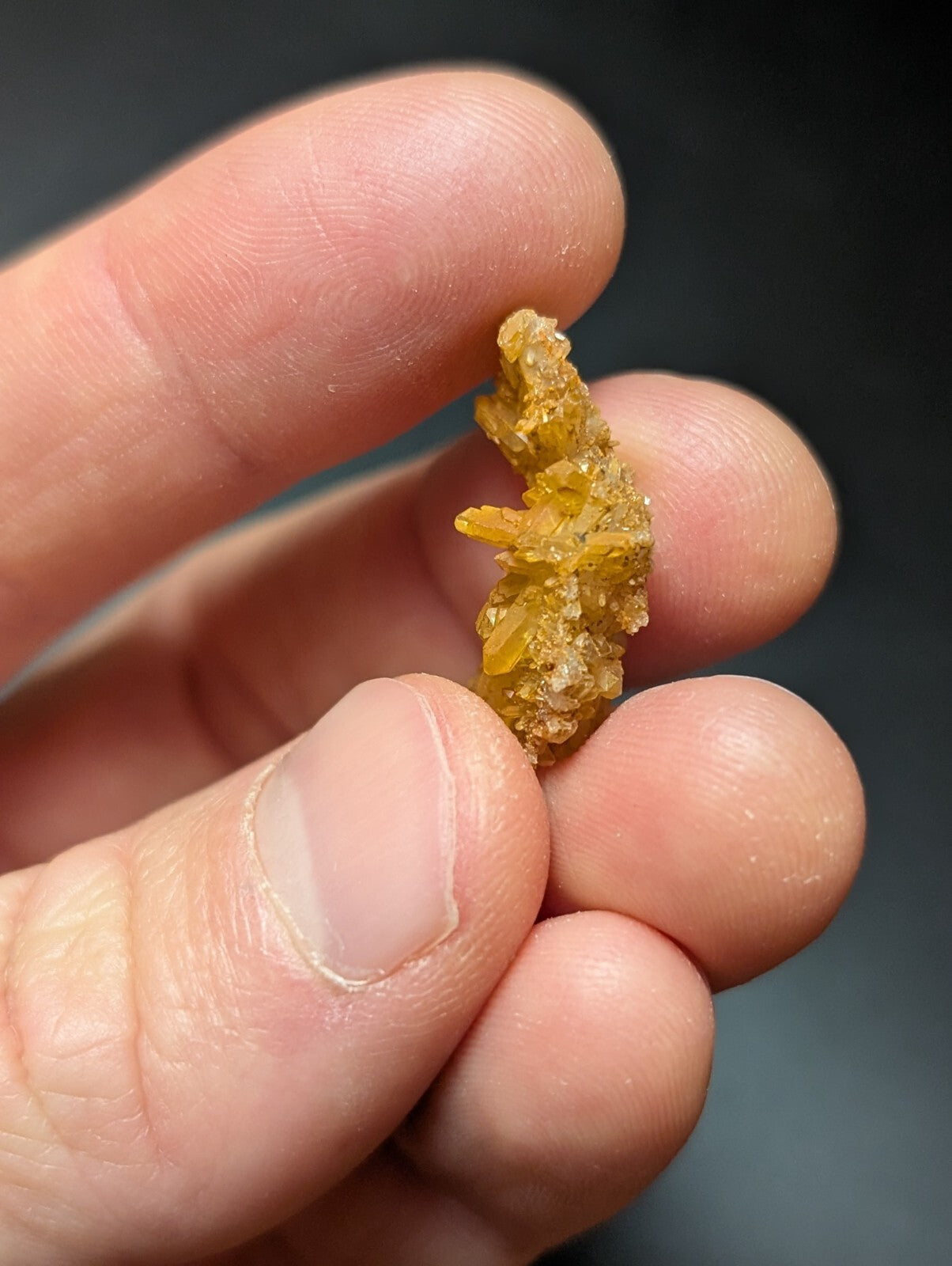 A golden-yellow, crystalline mineral specimen with a rough, jagged surface held delicately between fingers.