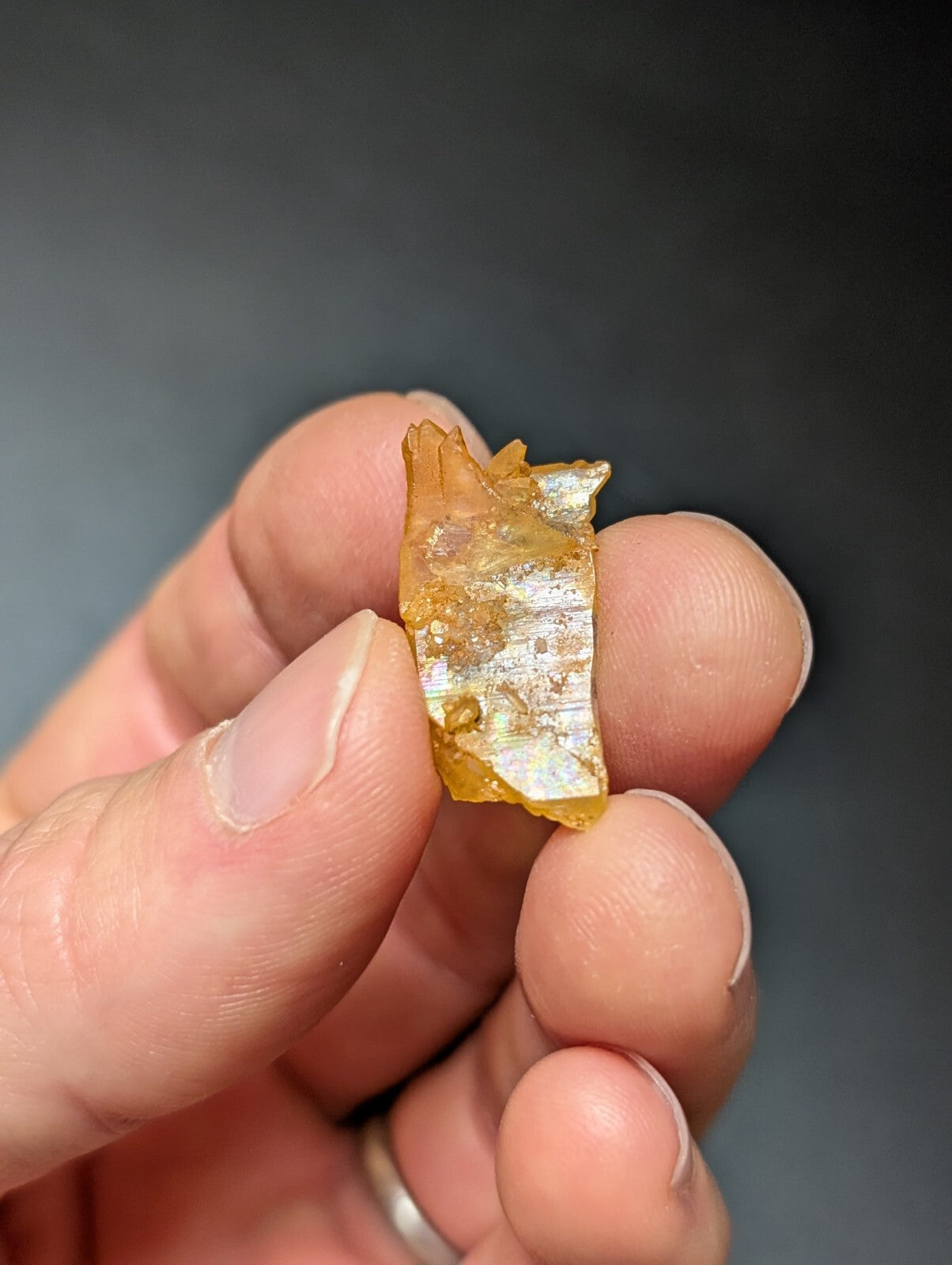 A translucent amber-colored resin fragment with a glossy, iridescent sheen and irregular edges.